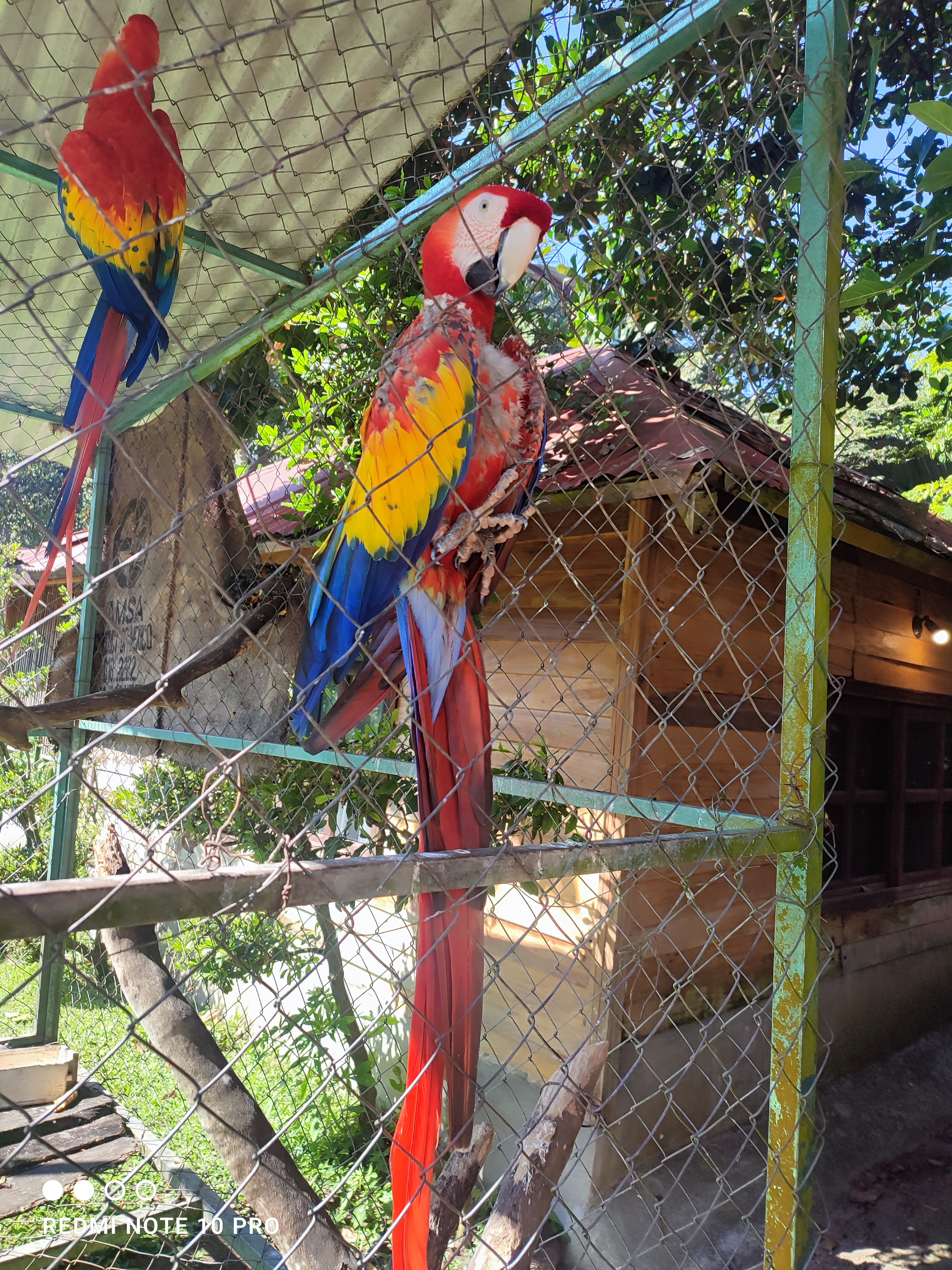 Centro Agroecoturistico Exóticos image 8