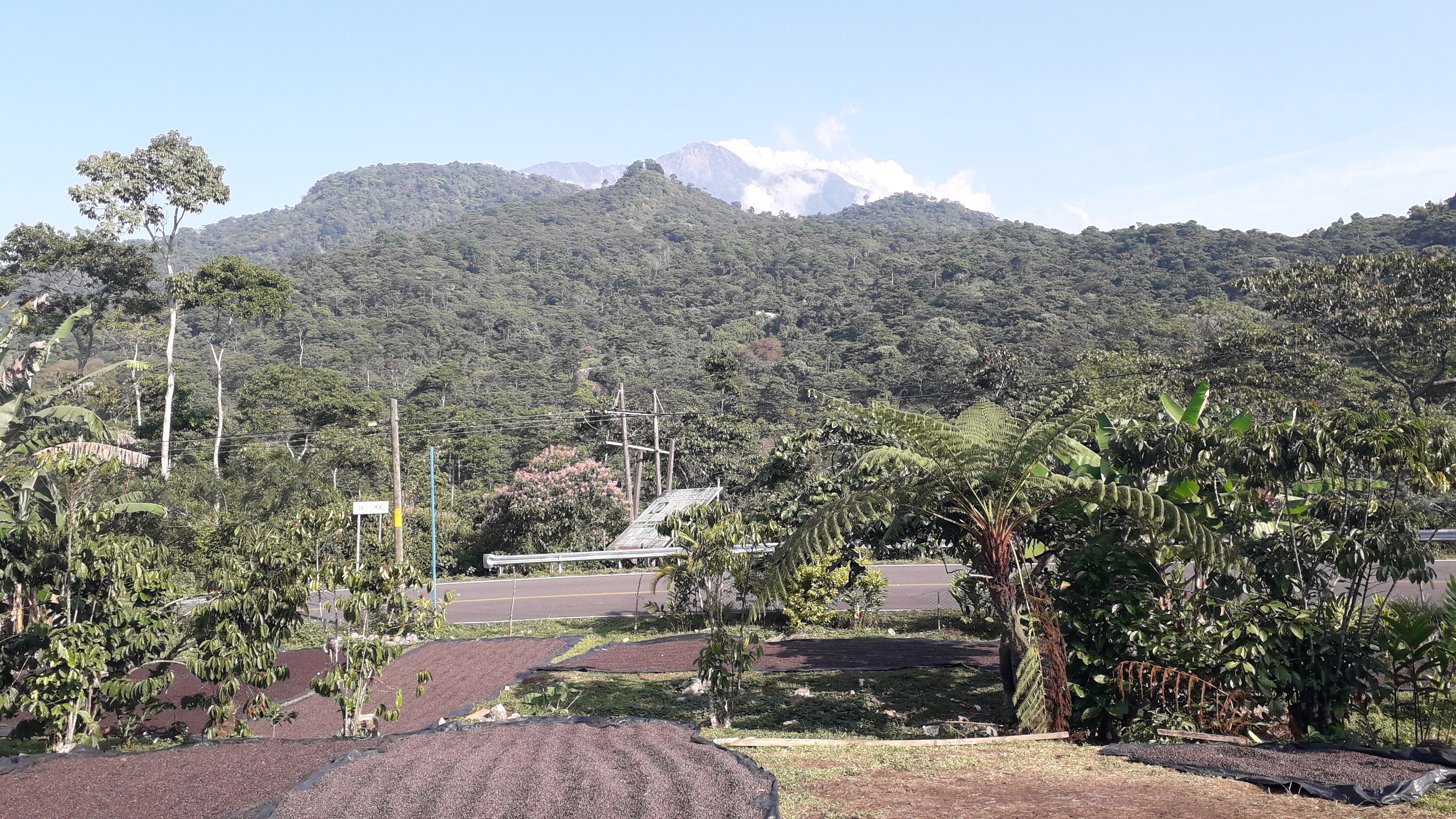 Restaurante y Cabañas "LA 5O" image 3