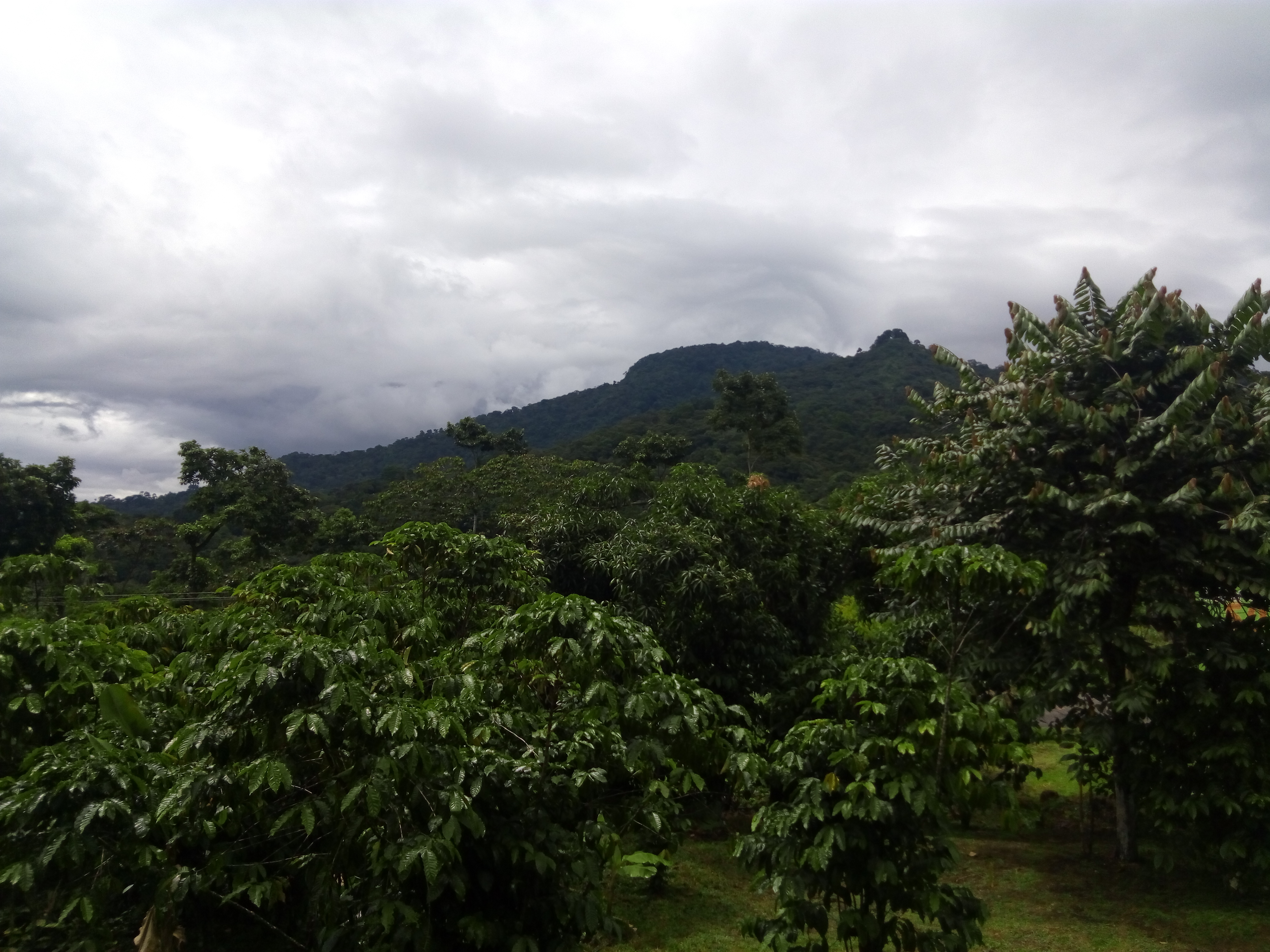 Restaurante y Cabañas "LA 5O" image 4