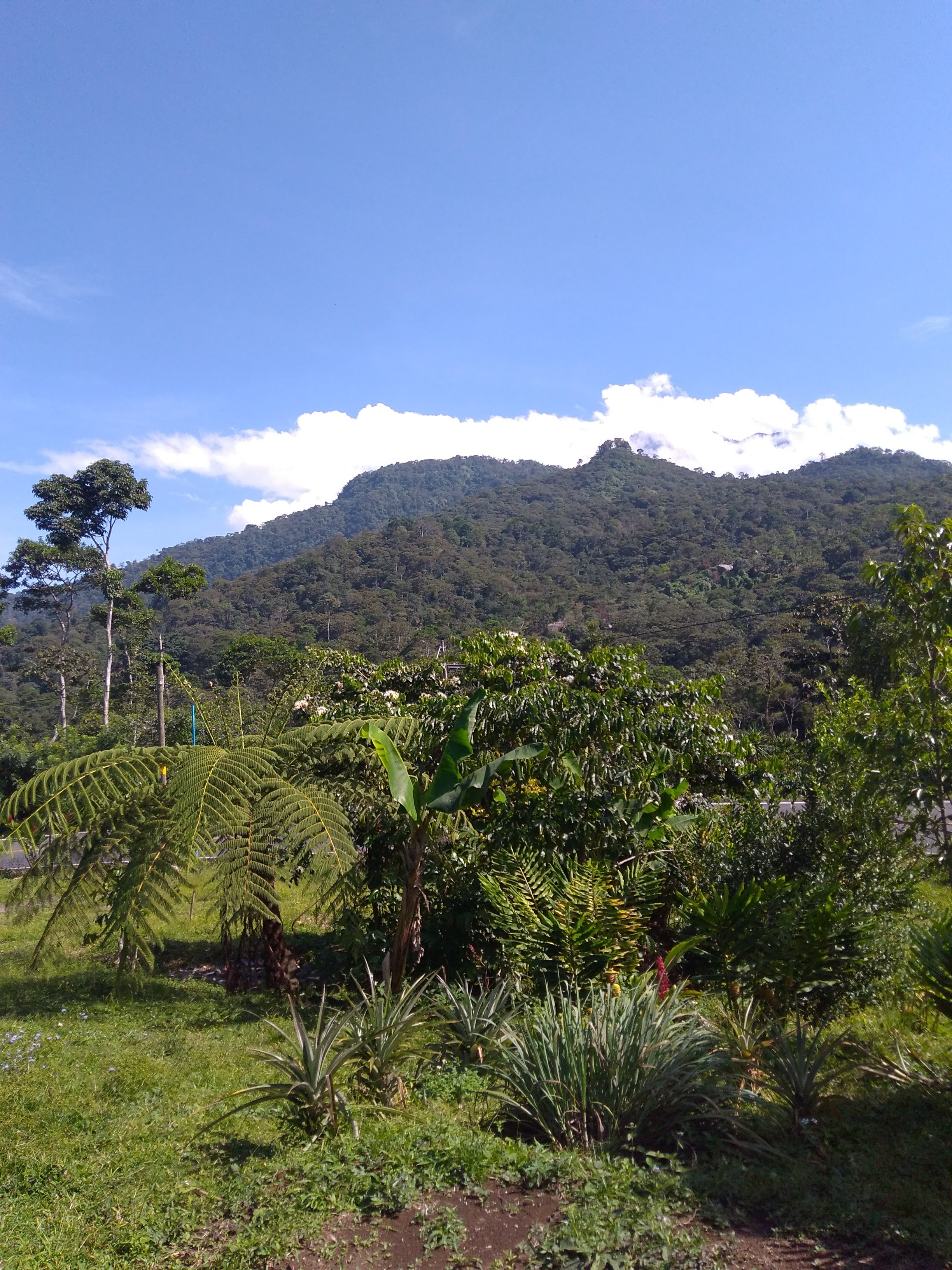 Restaurante y Cabañas "LA 5O" image 5