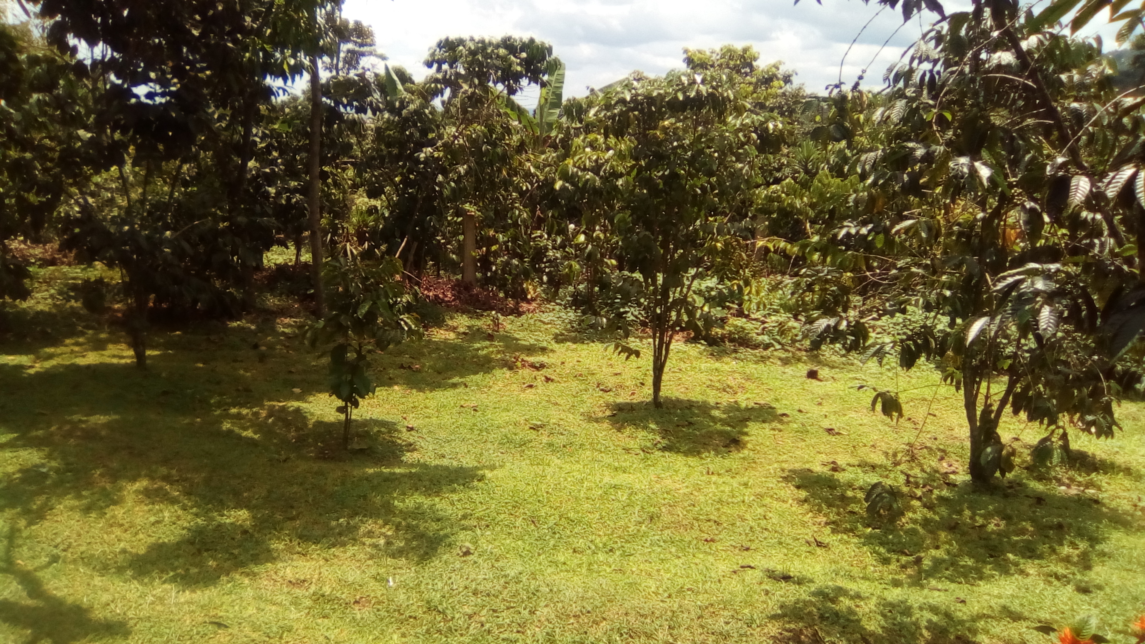 Restaurante y Cabañas "LA 5O" image 6