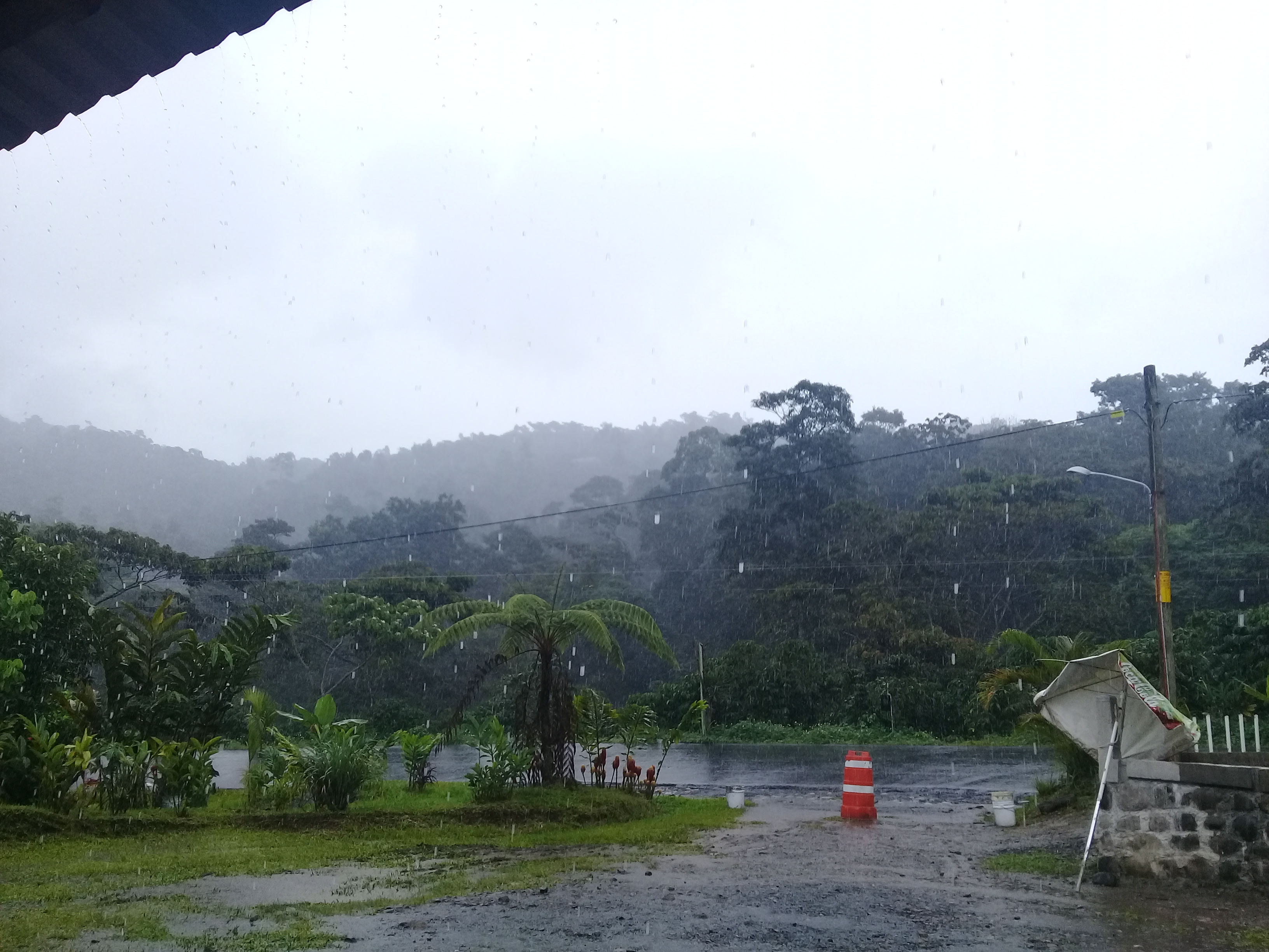 Restaurante y Cabañas "LA 5O" image 7