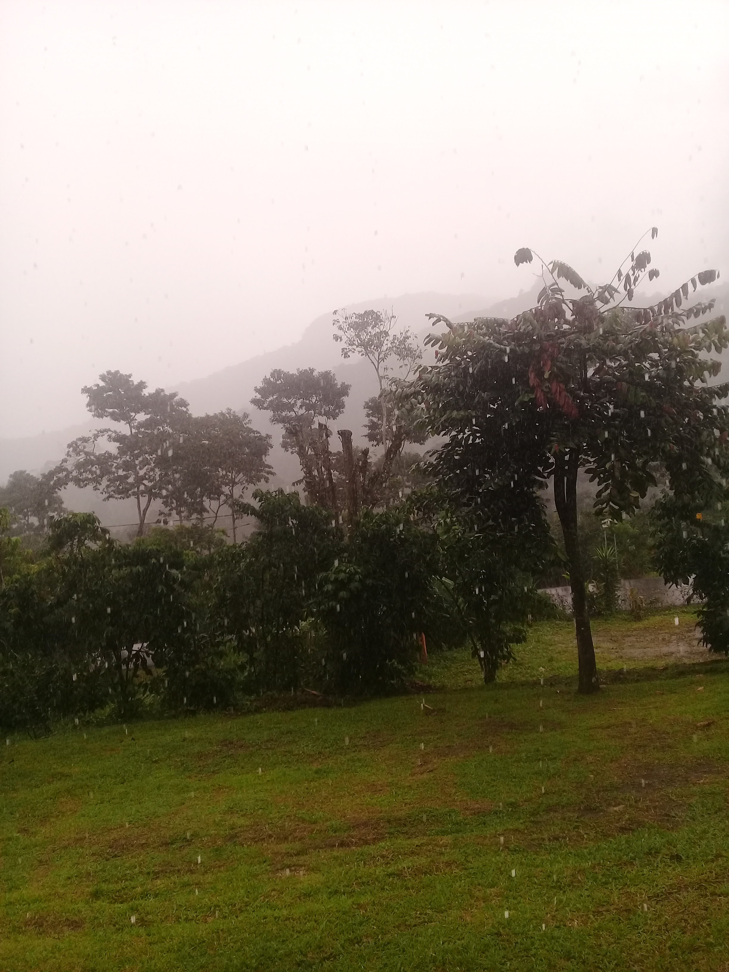 Restaurante y Cabañas "LA 5O" image 9