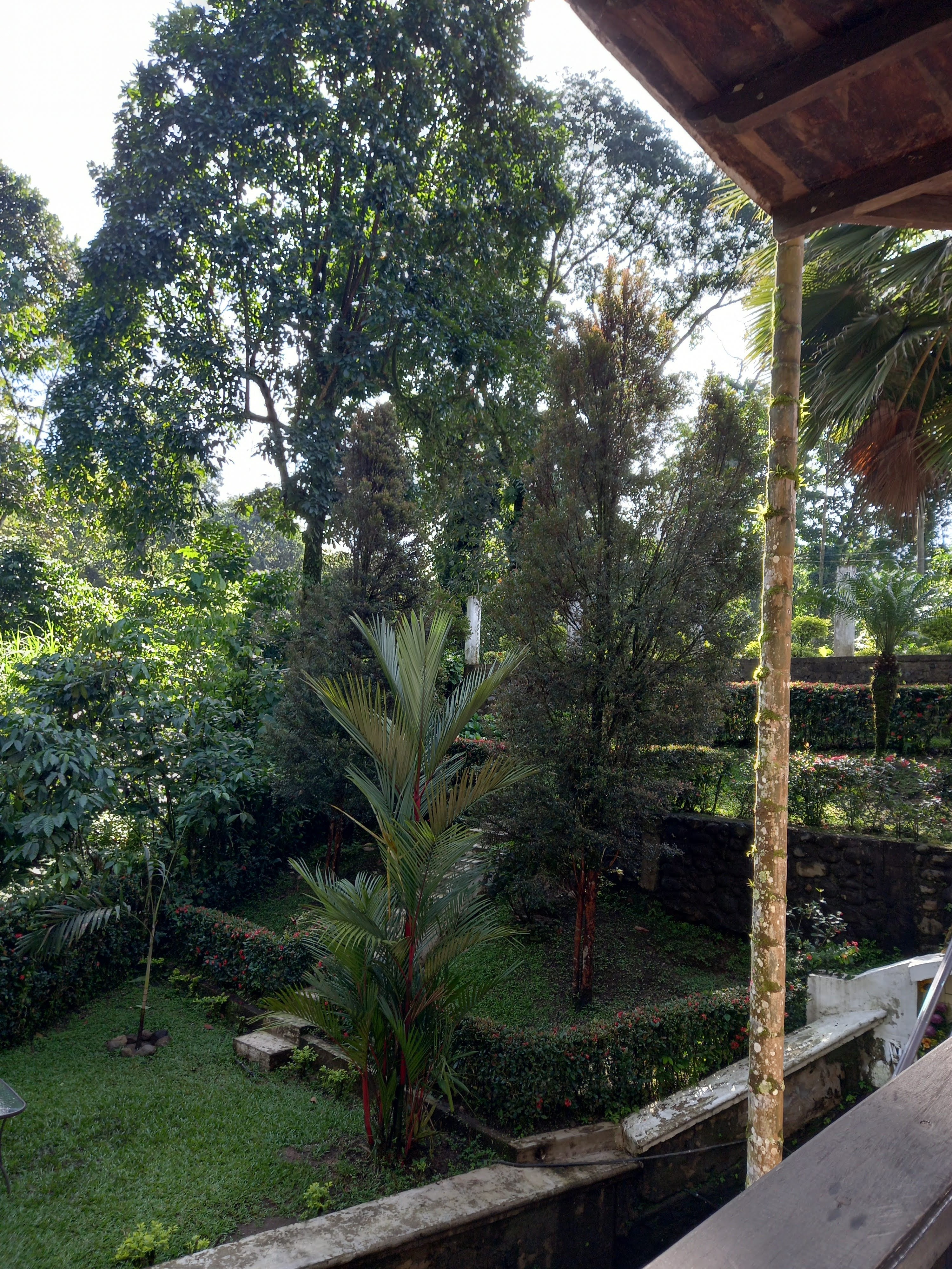 Cabaña El Cafetalero image 6