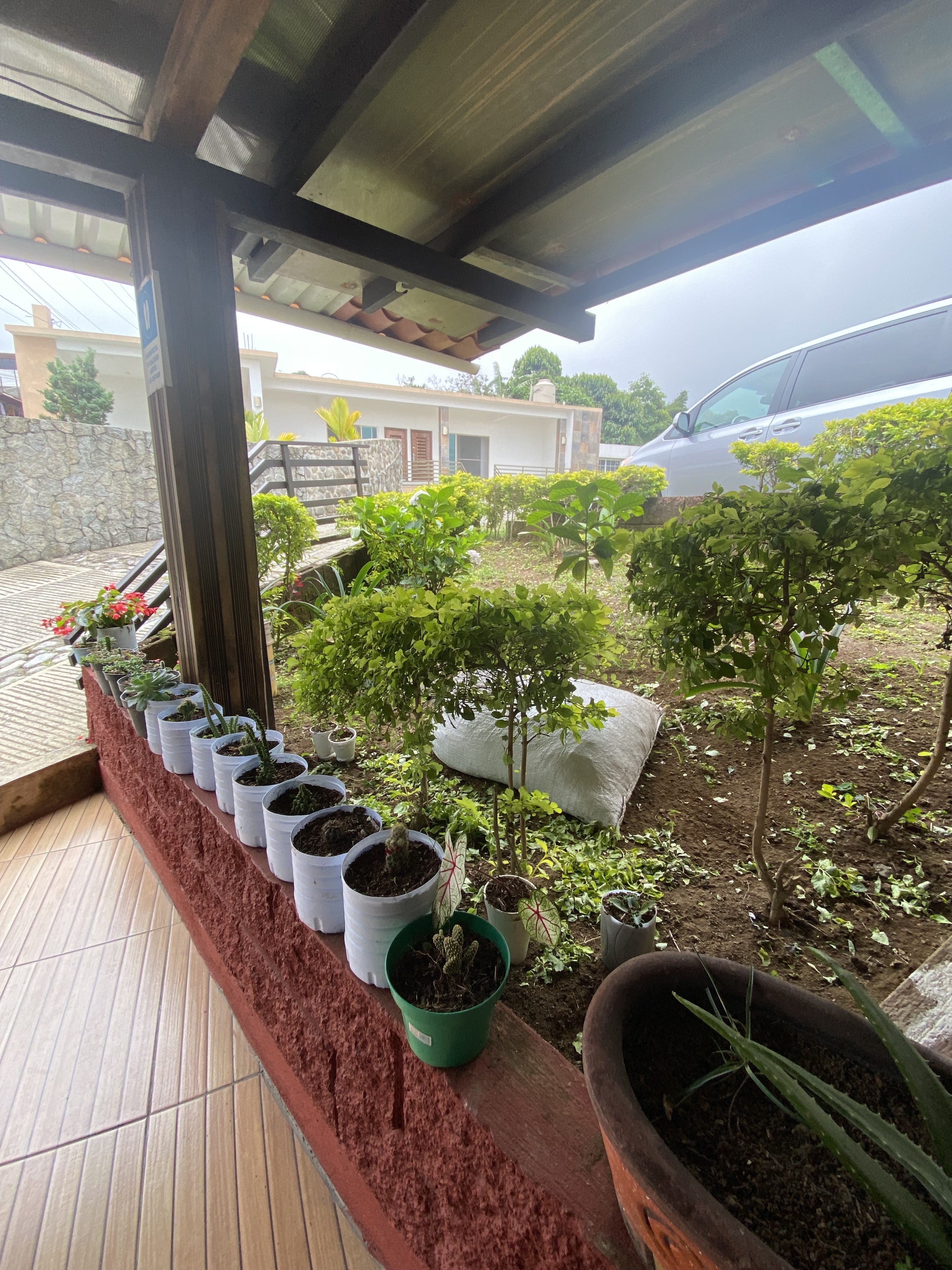 Restaurante el Laurel image 5