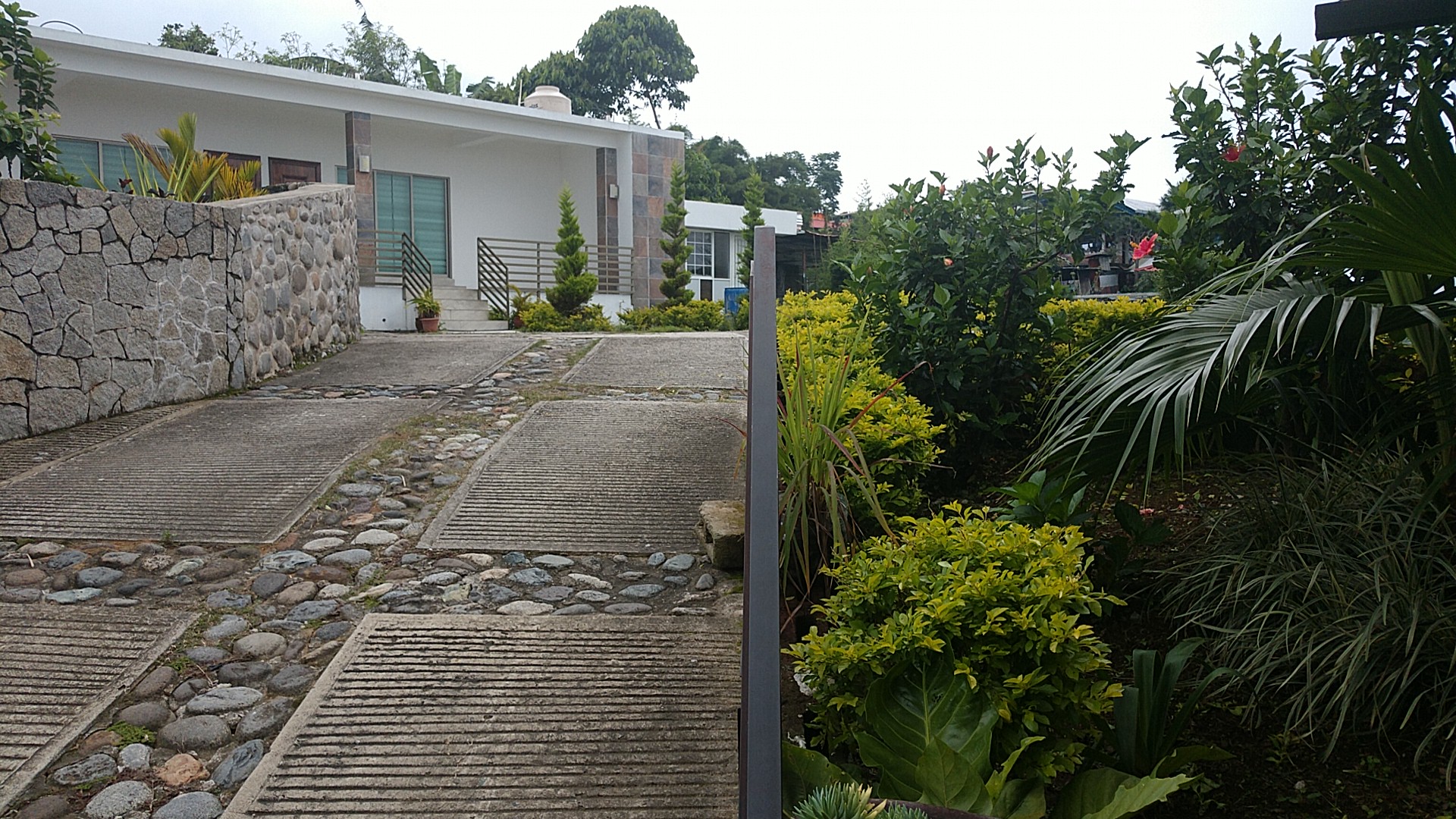 Restaurante el Laurel image 6