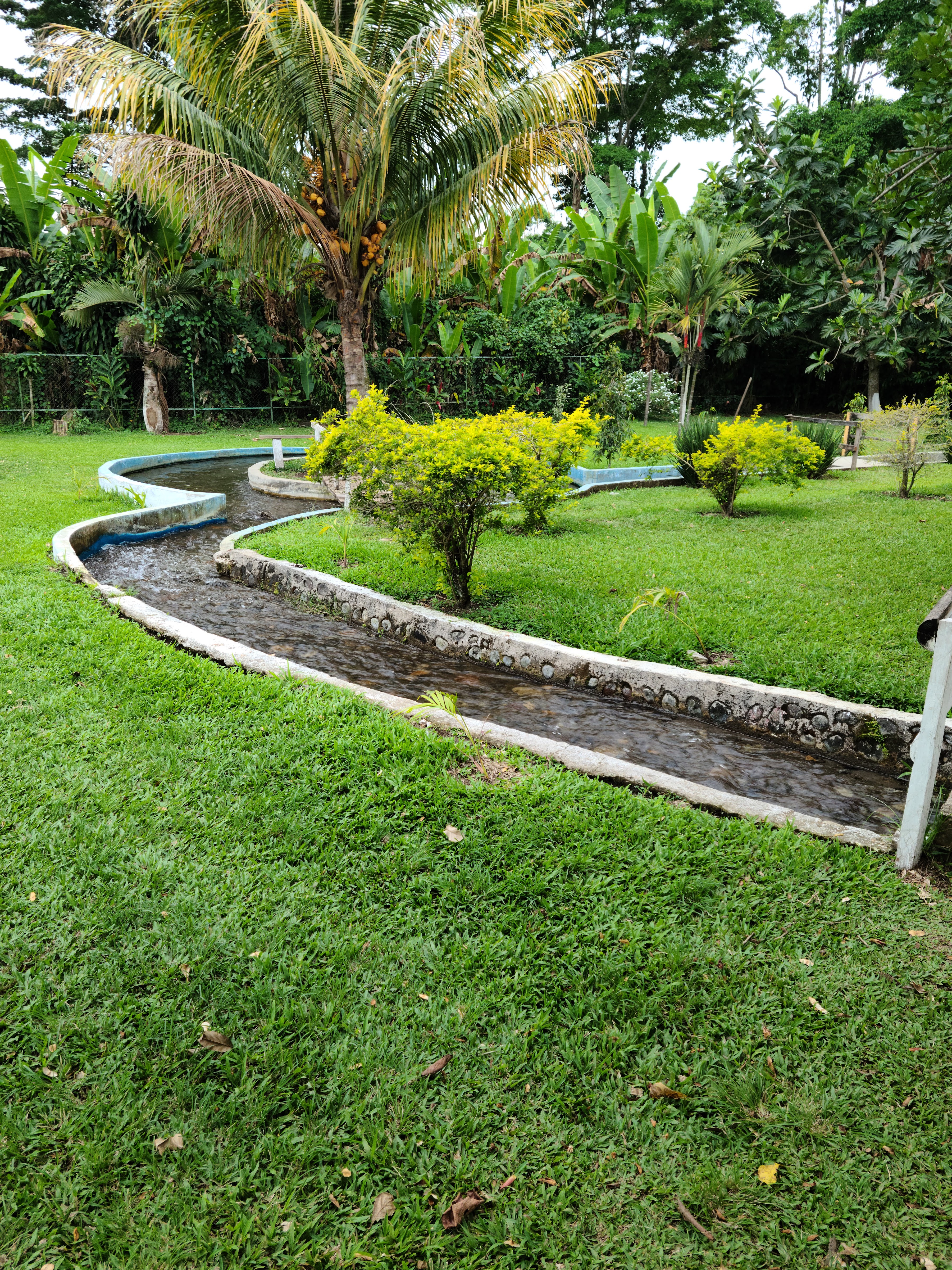 Carnes Asadas Mixcum image 4