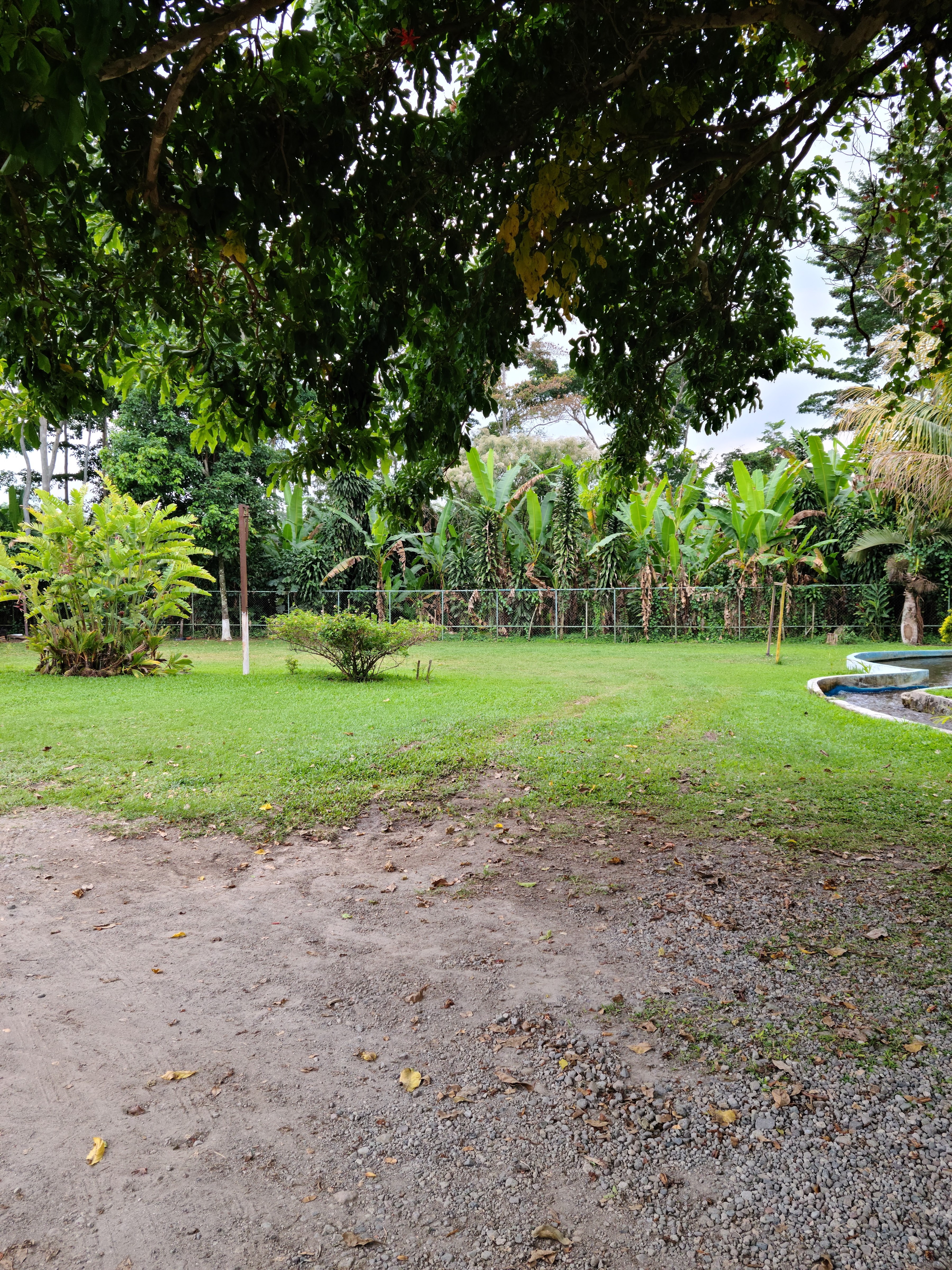 Carnes Asadas Mixcum image 8