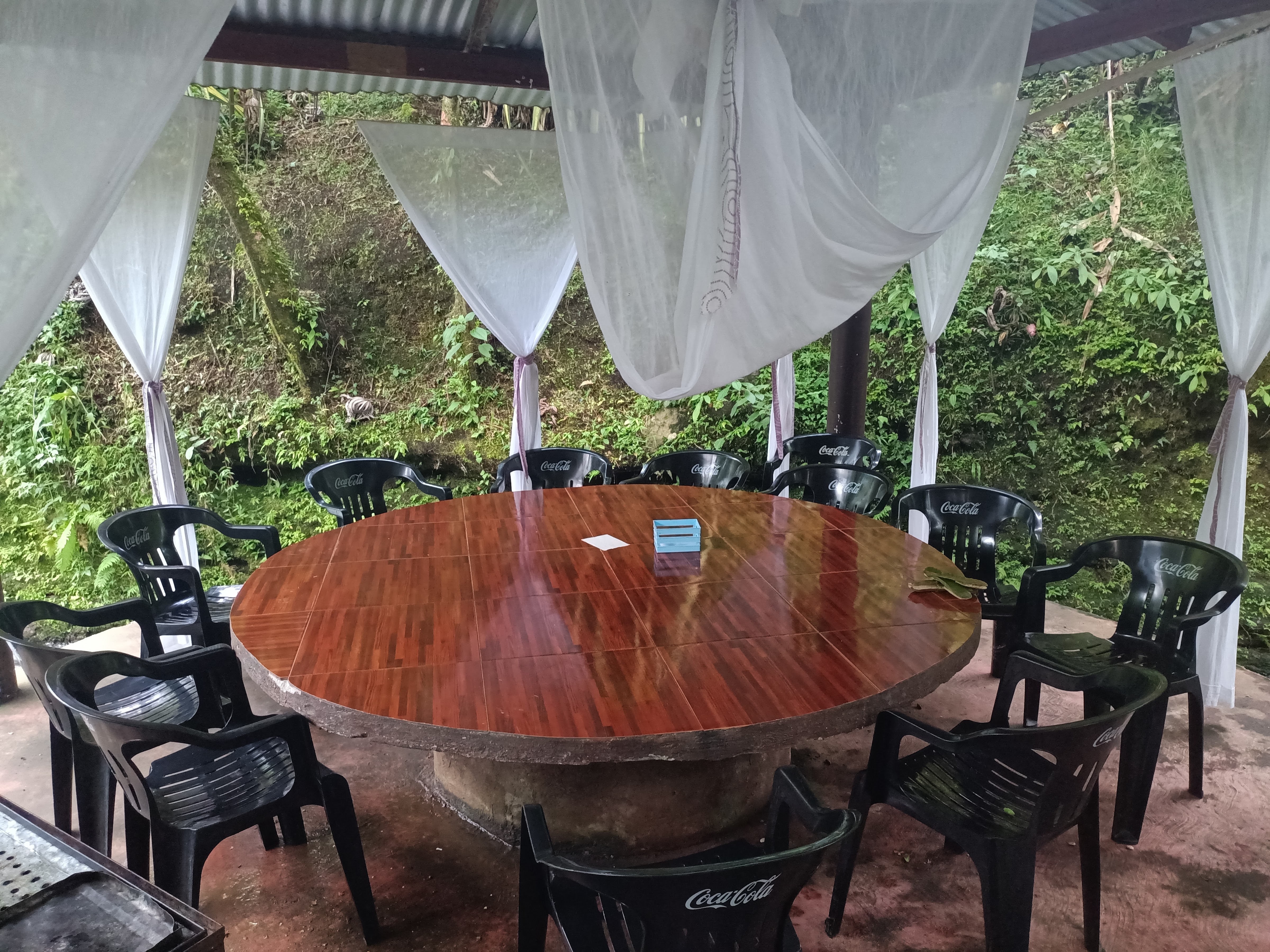 La Isla Exótica image 1