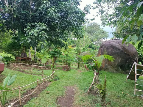 La Isla Exótica image 4