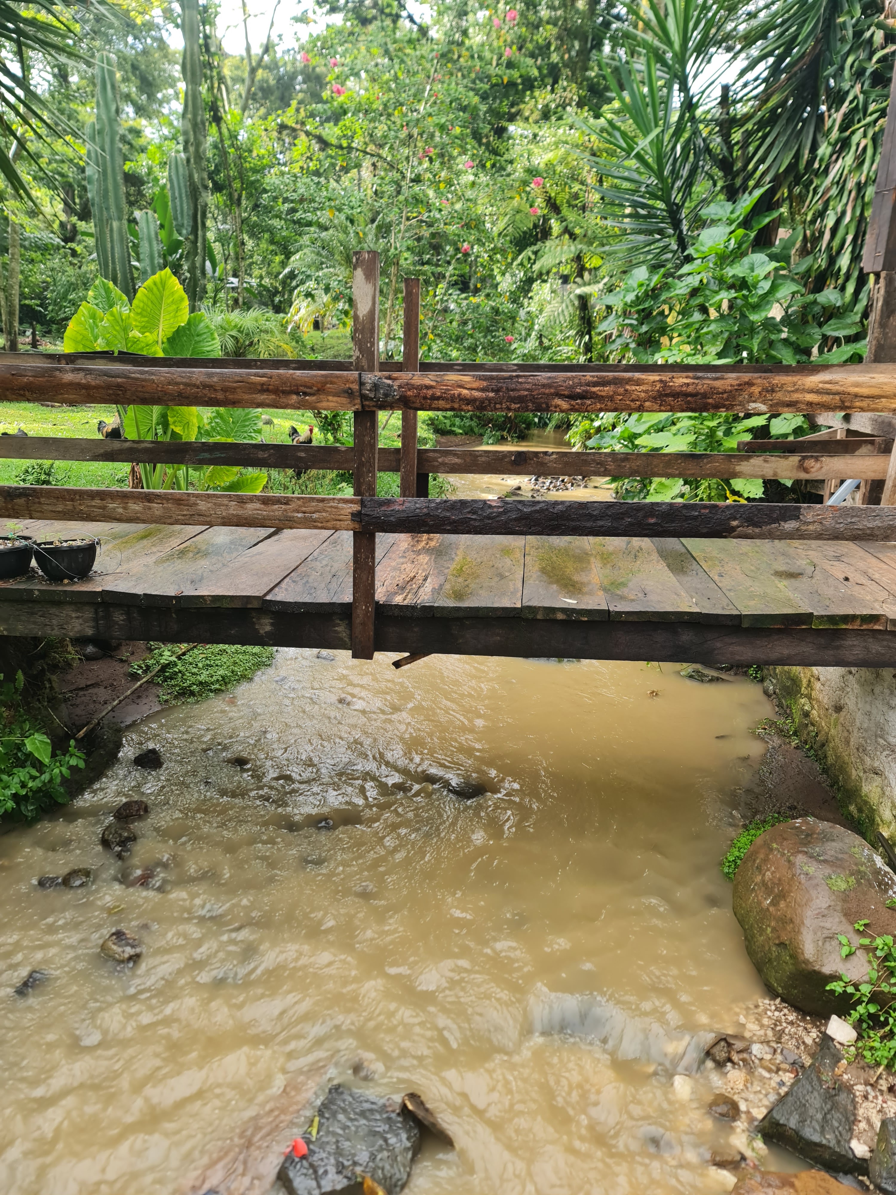 La Cabaña del Tio Yeyo image 7