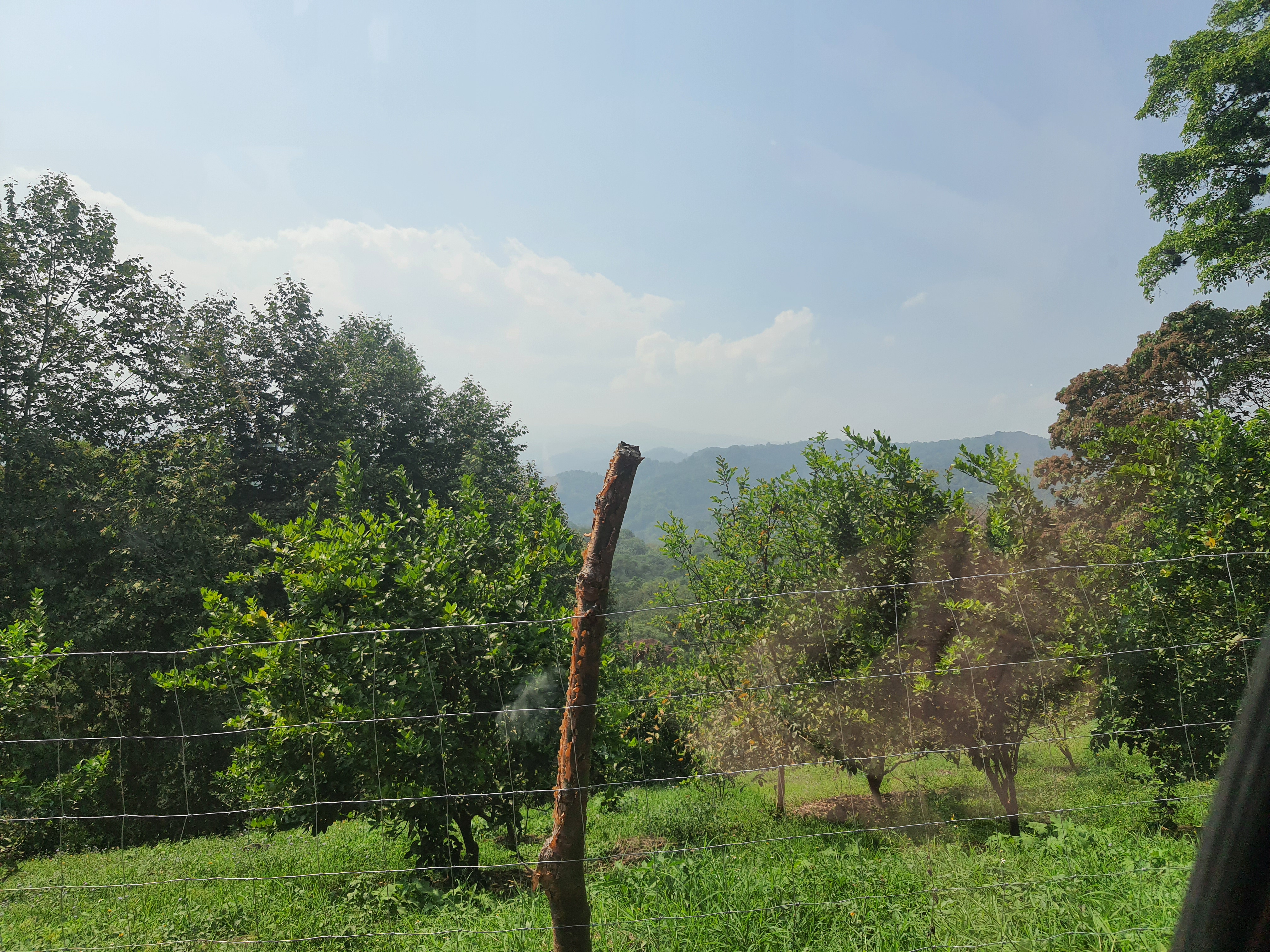 La Cabaña del Tio Yeyo image 10