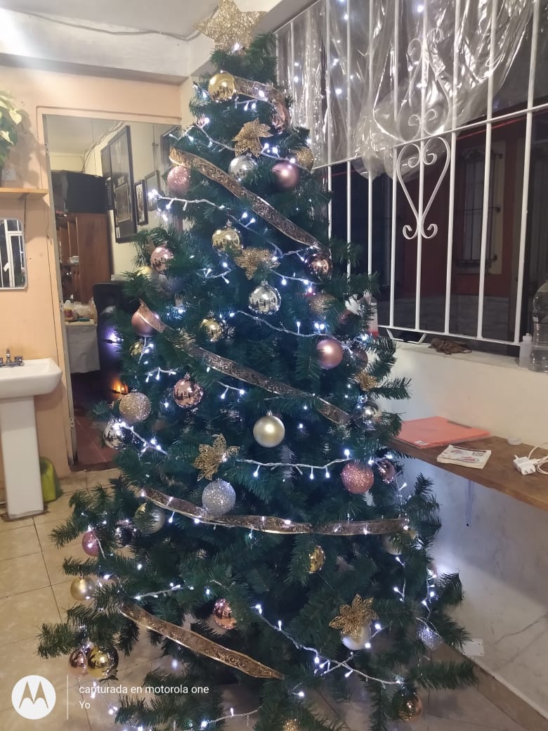 Antojitos La Palapa image 1