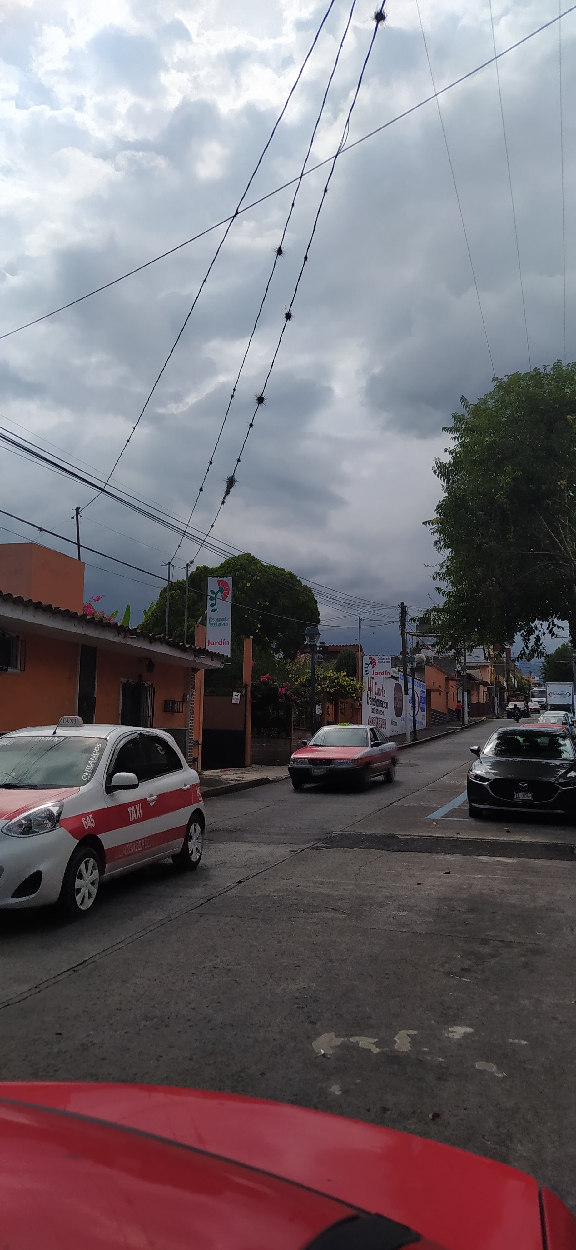 Restaurante Vegetariano Jardín image 3