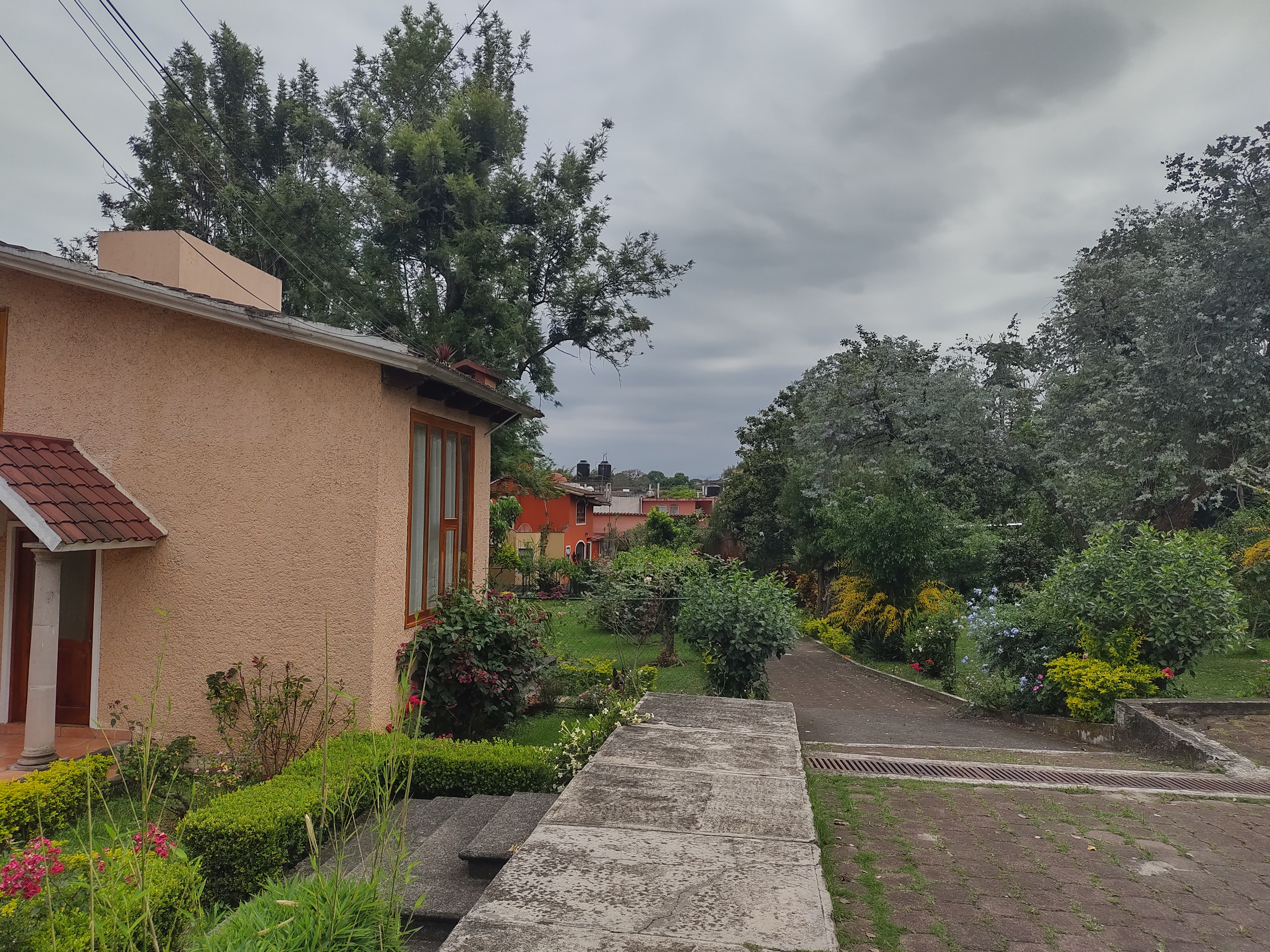 Restaurante Vegetariano Jardín image 7