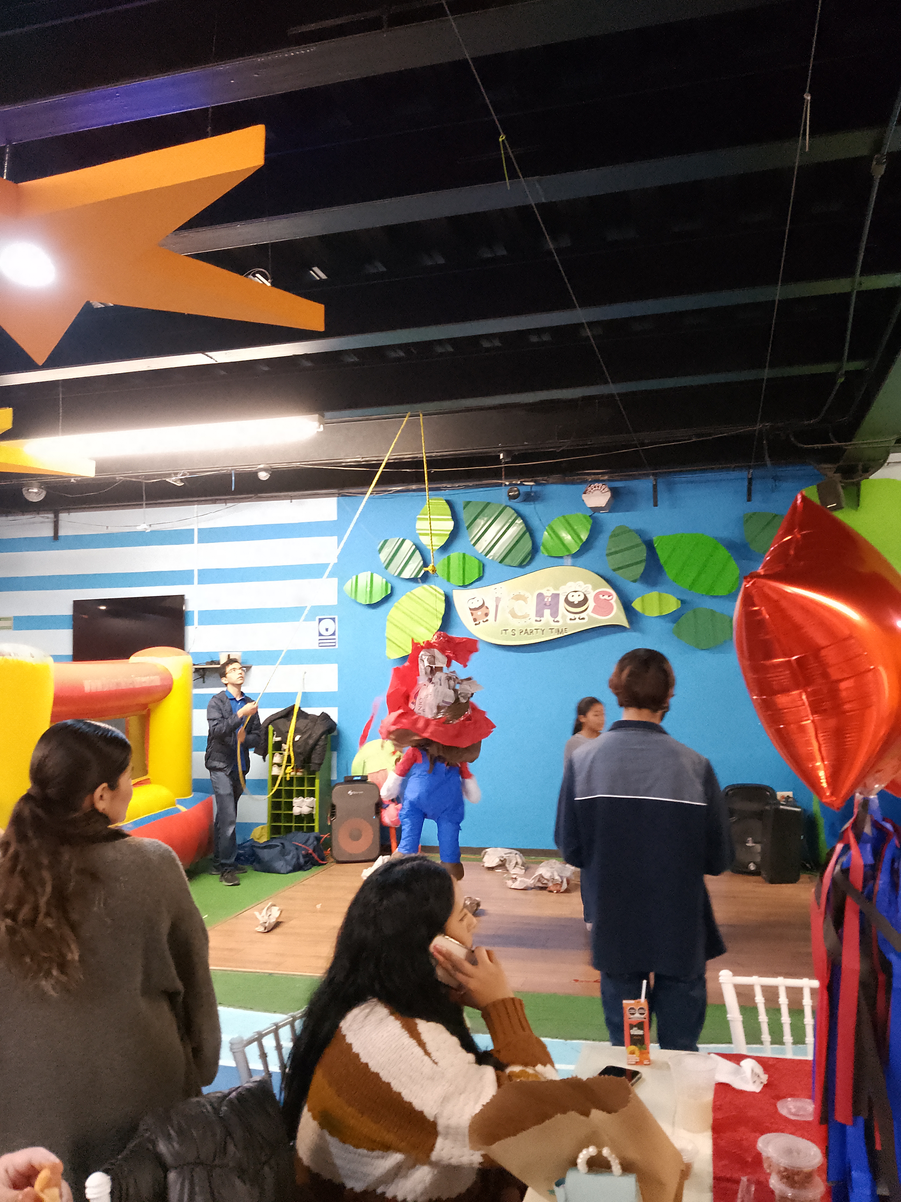 Punto Guerrero image 9