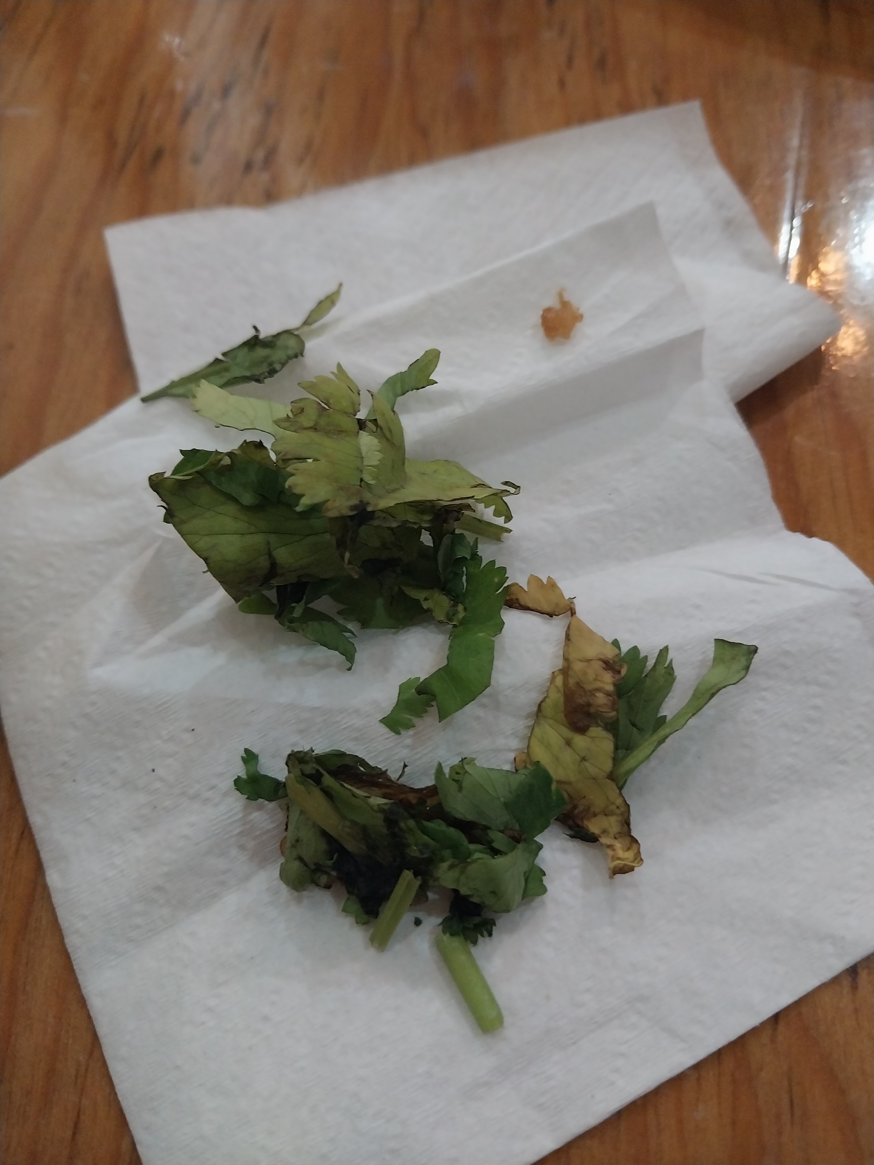 Taqueria la joya image 6