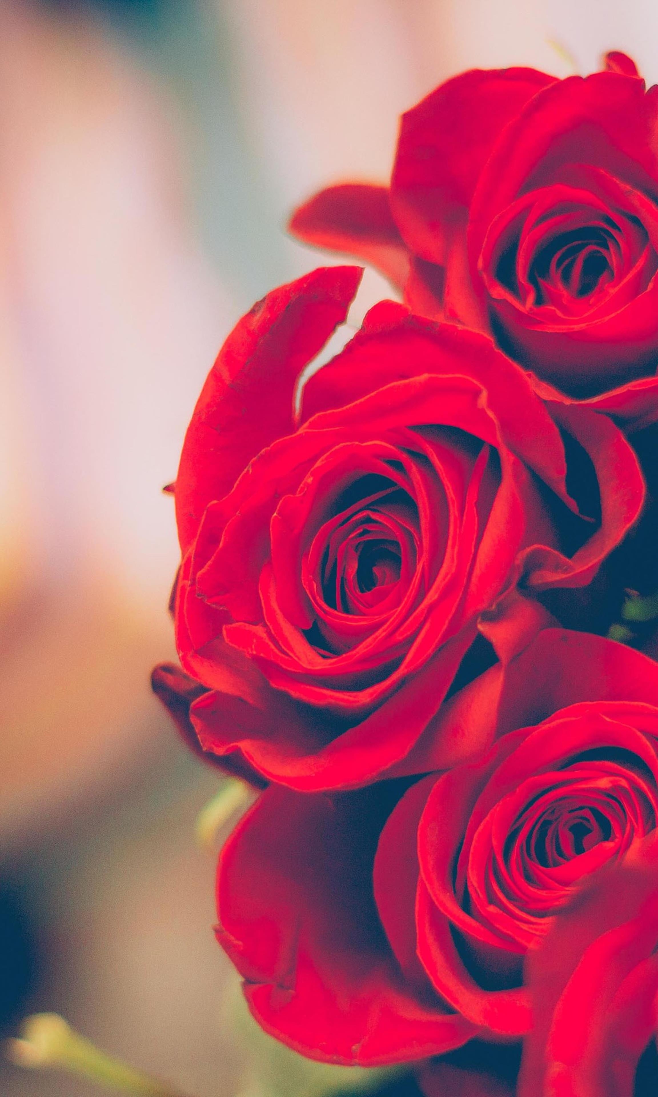 Las Pechochas image 2