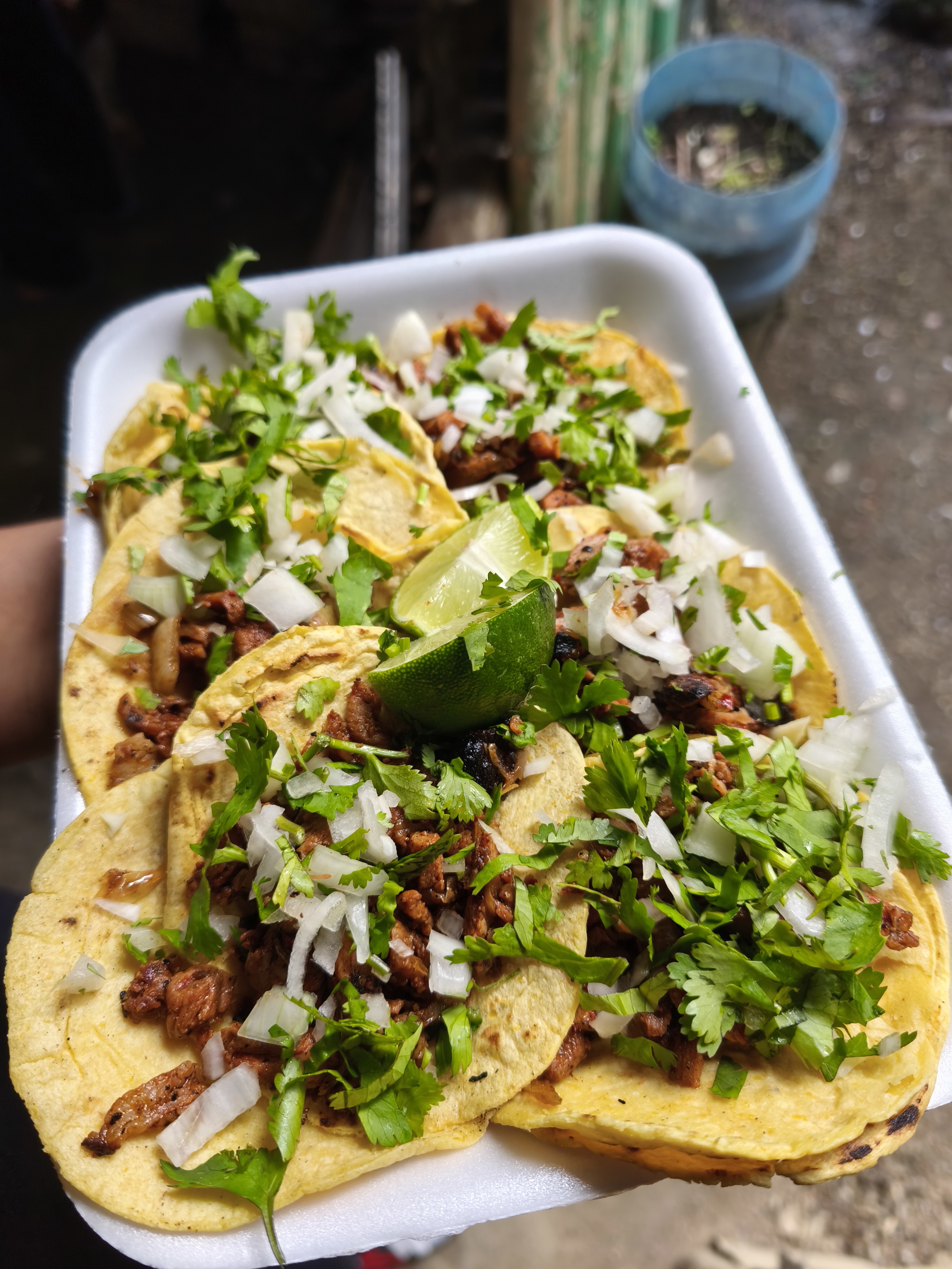 Taquería Hanna image 3