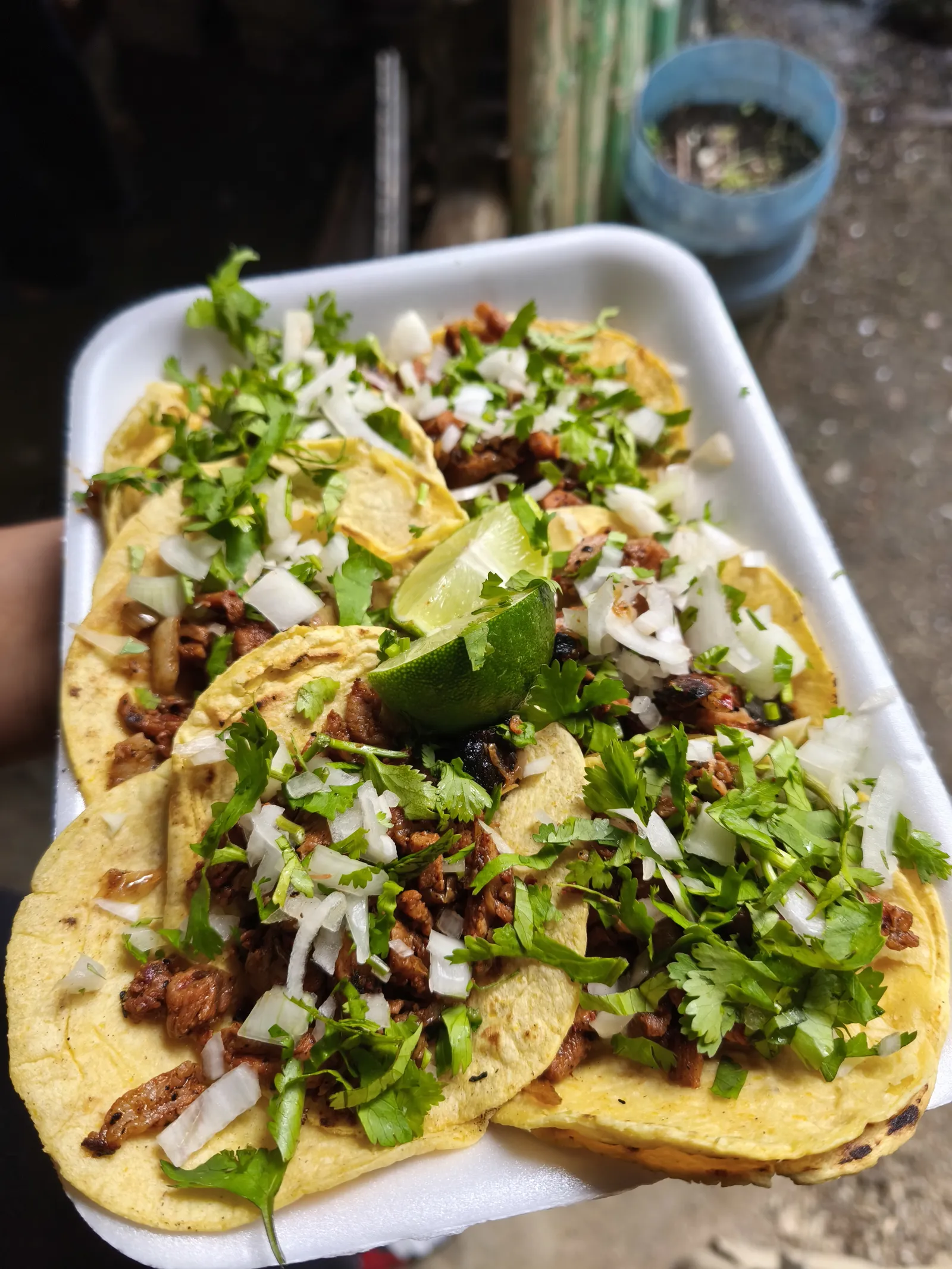 Taquería Hanna image 3