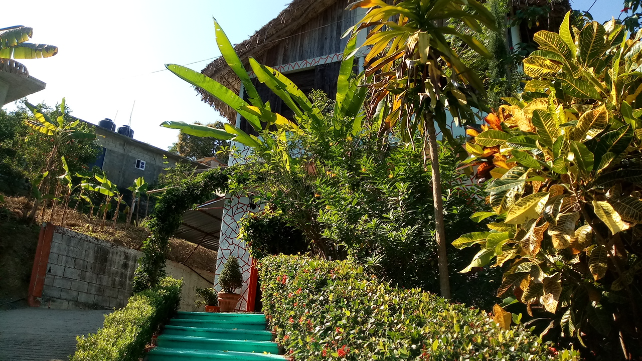 Restaurant Sabor A mi image 4