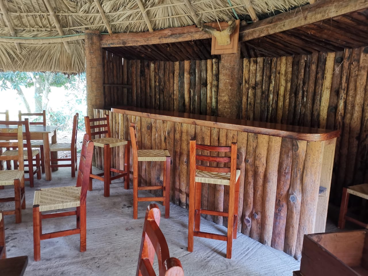 Palma Sola Club. Restaurante Artesanal Huasteco, Eventos Sociales, Campamento, Alberca image 1