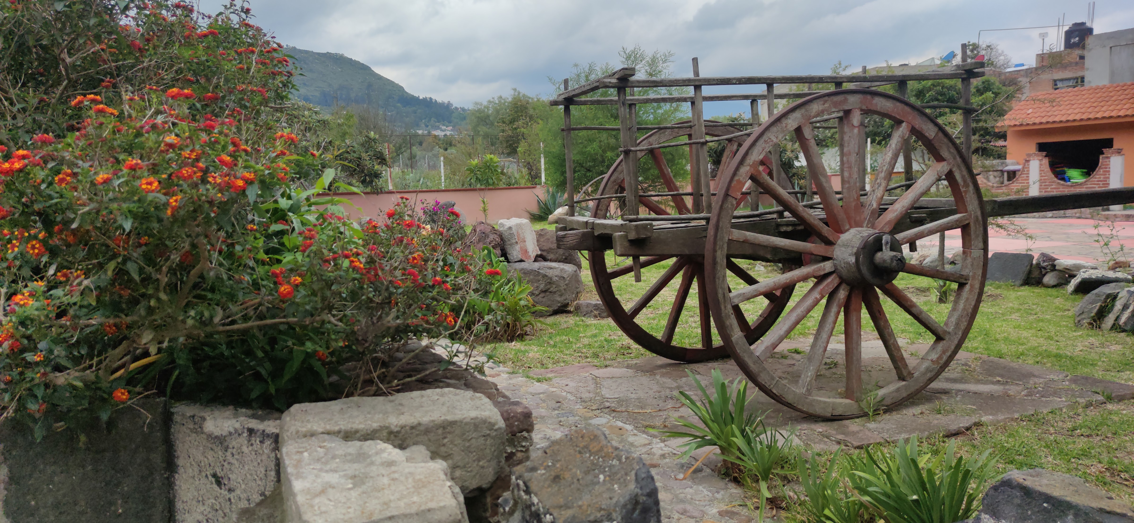 Patio Franciscano image 5