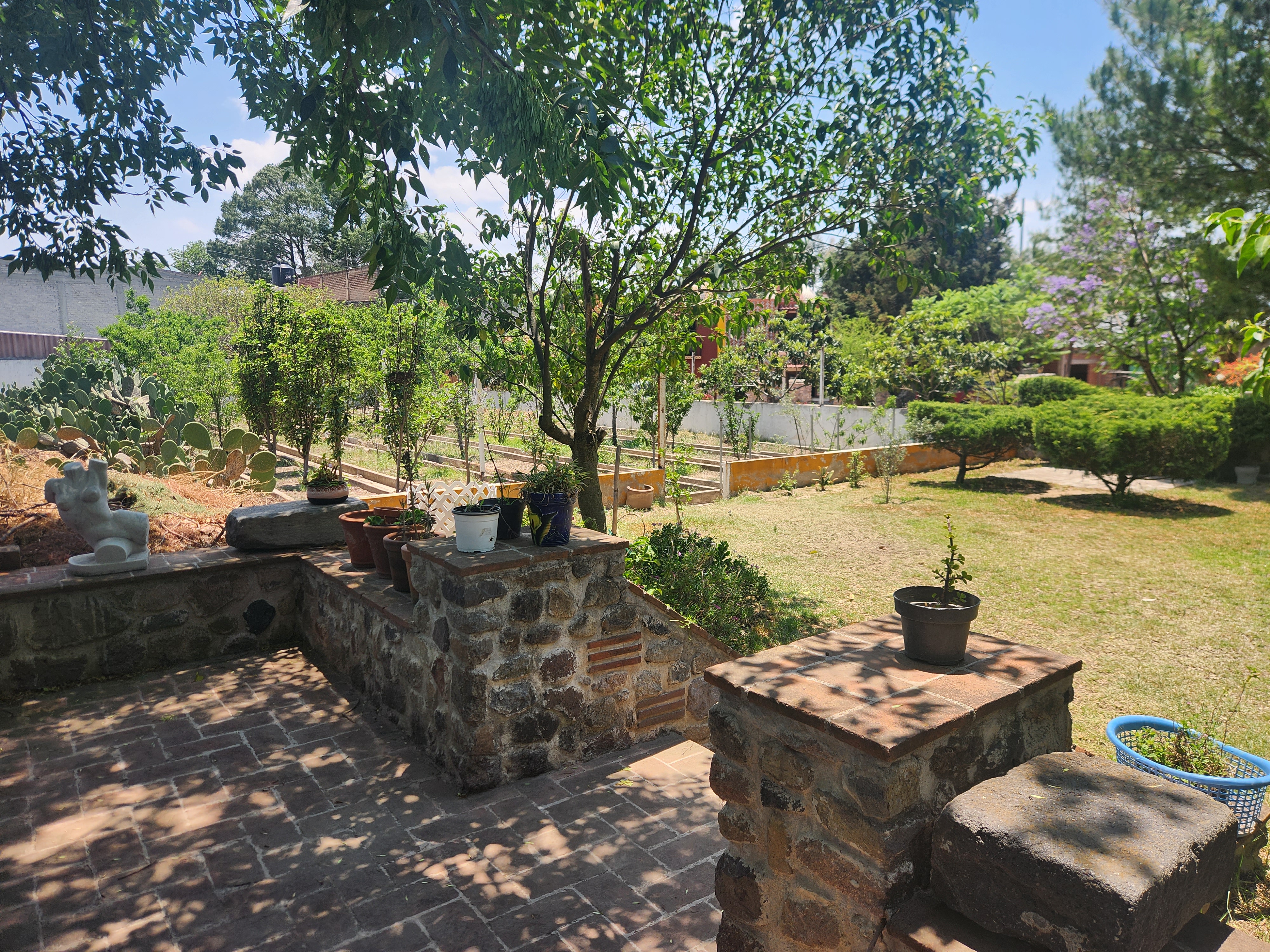 Patio Franciscano image 9