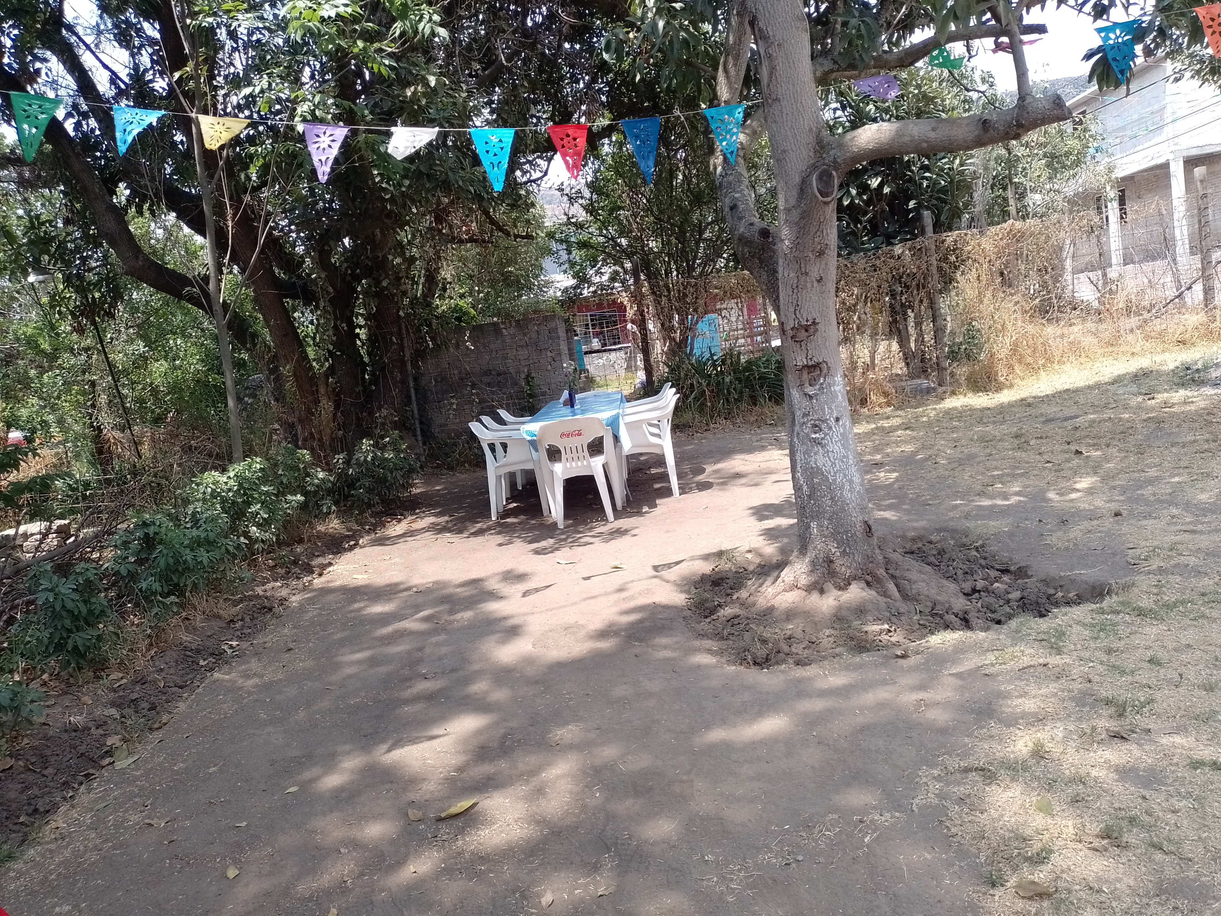 "San Miguel" Cocina Mexicana image 7