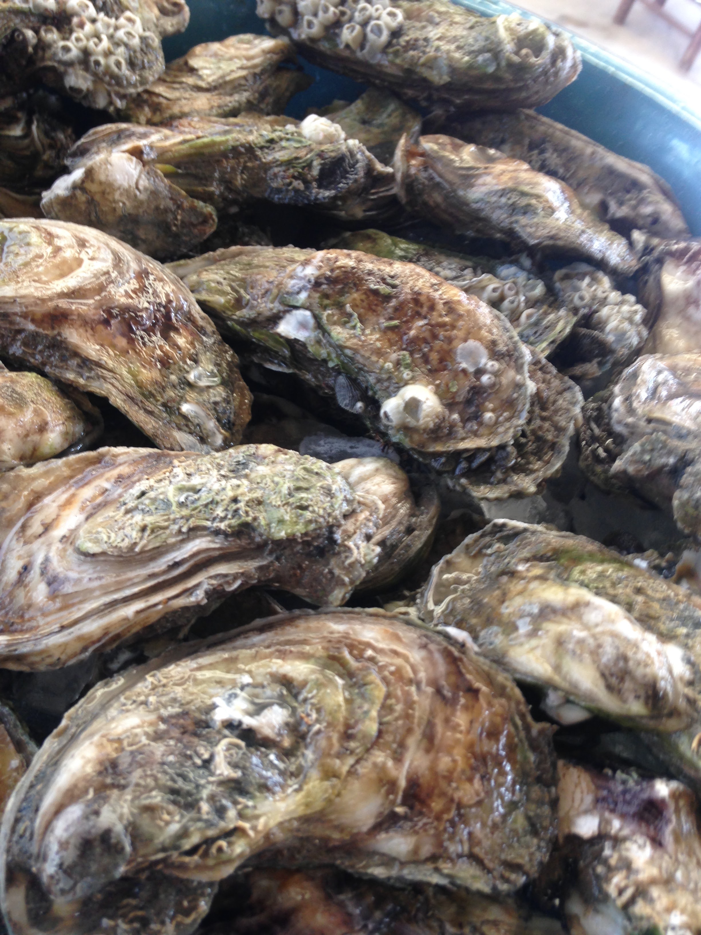 Mariscos Yeyan Popocatepetl image 7