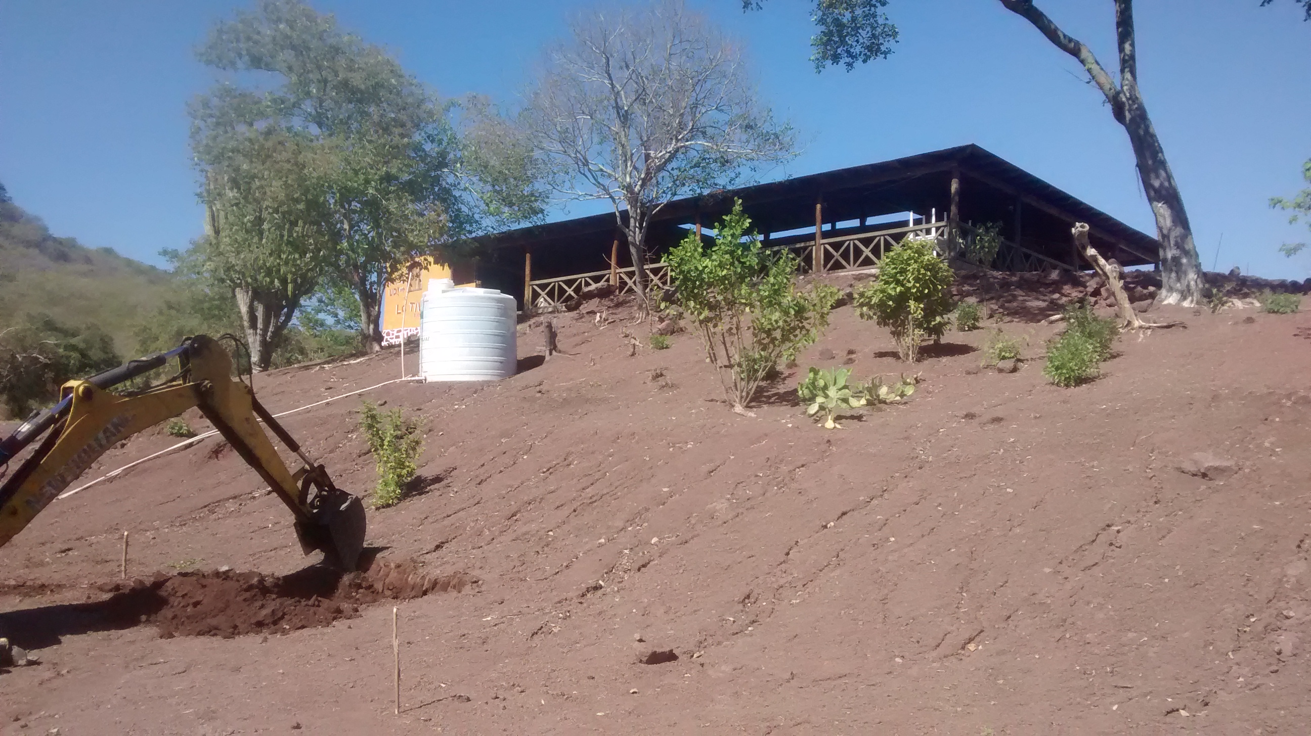 La Tilapia Loca image 10