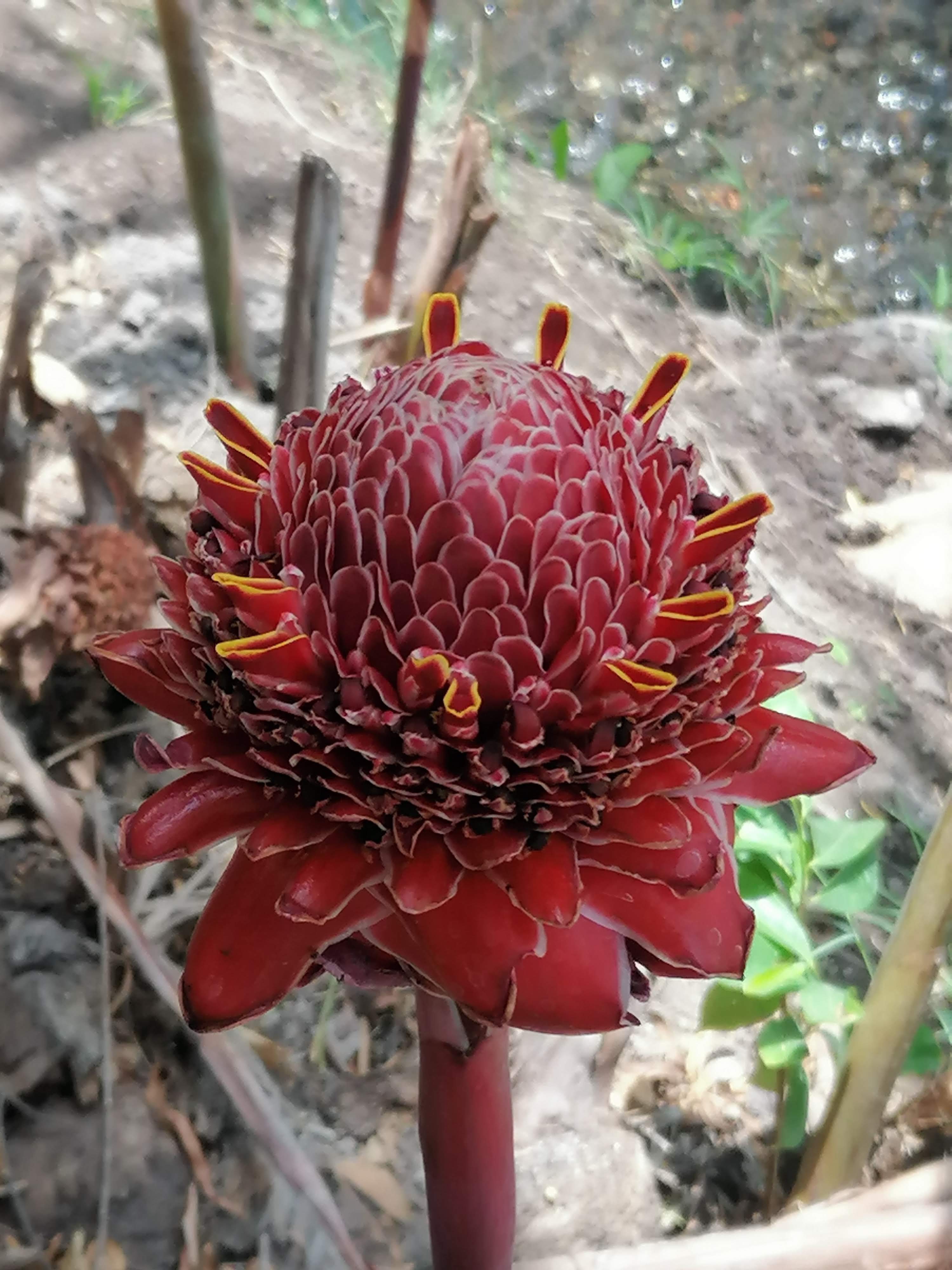 Las Trancas Peñitas image 7