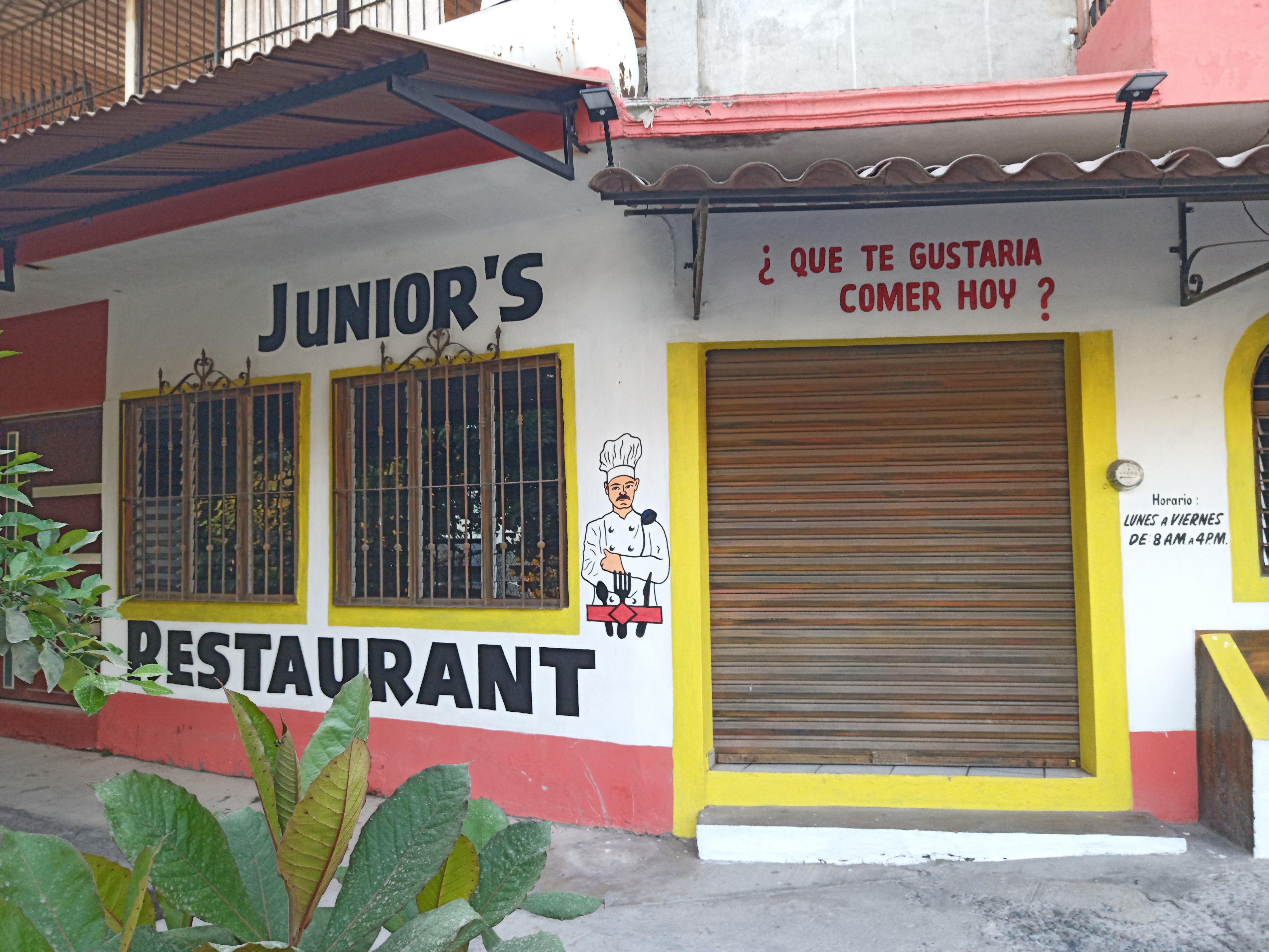 Junior's Restaurant image 1