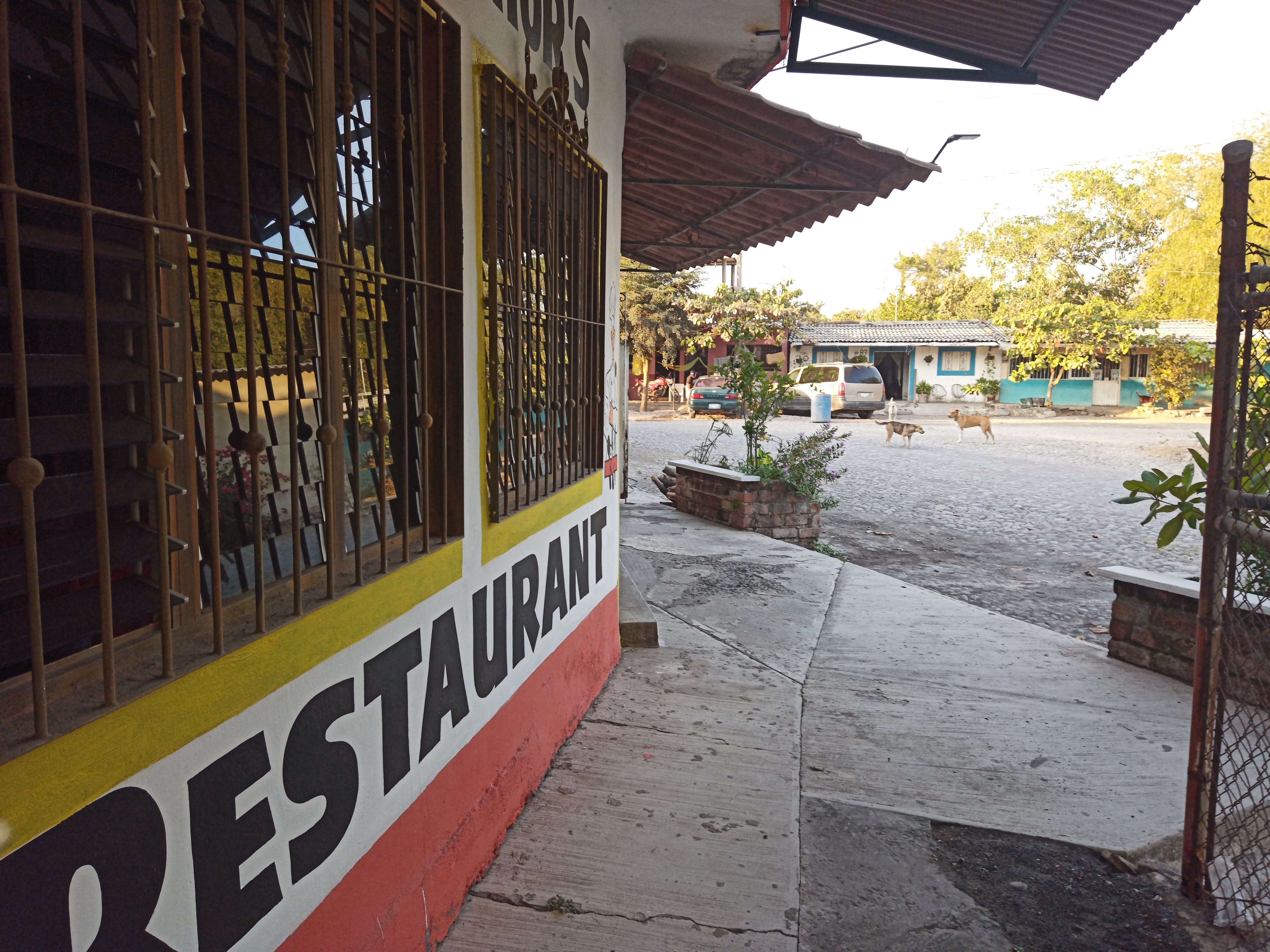 Junior's Restaurant image 4