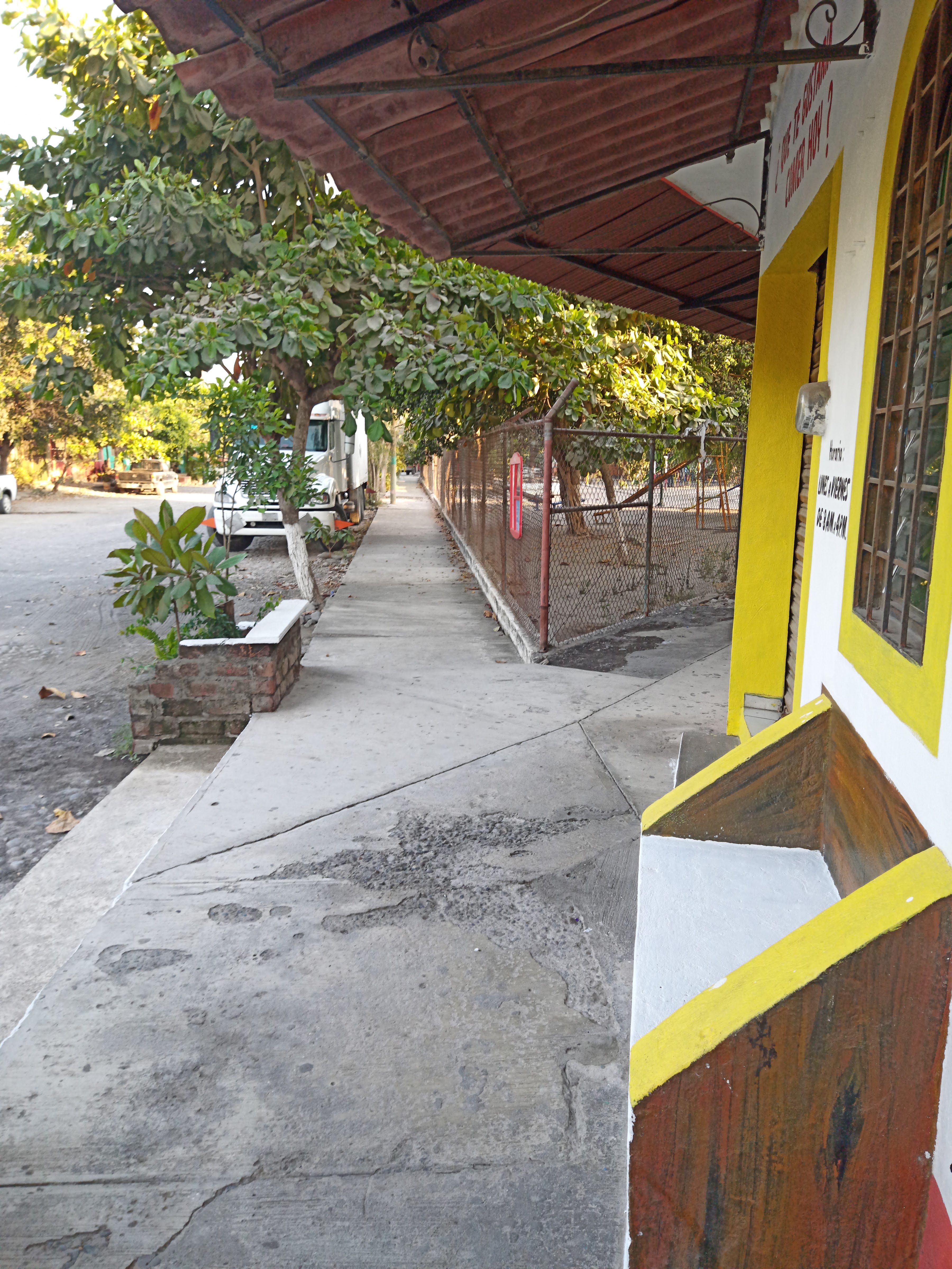 Junior's Restaurant image 6