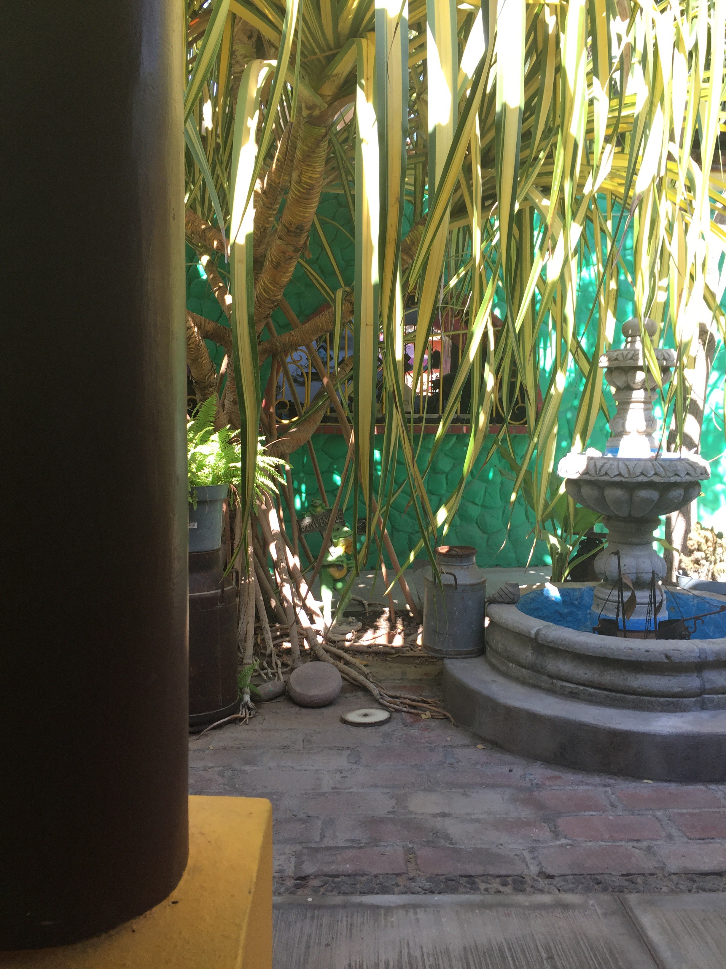 Restaurant Asadero los Carrizos image 9