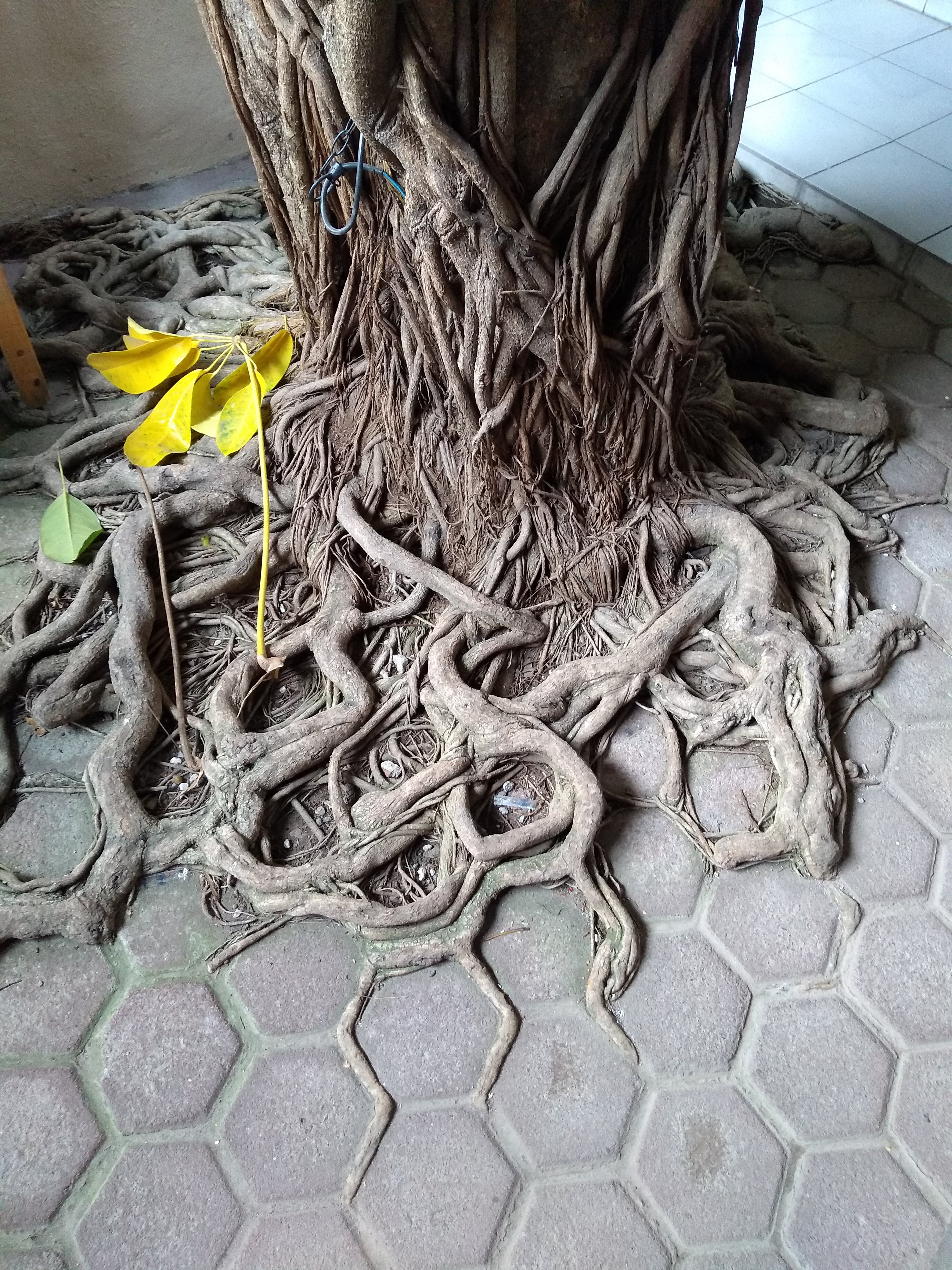 Restaurante la puerta del agua image 9