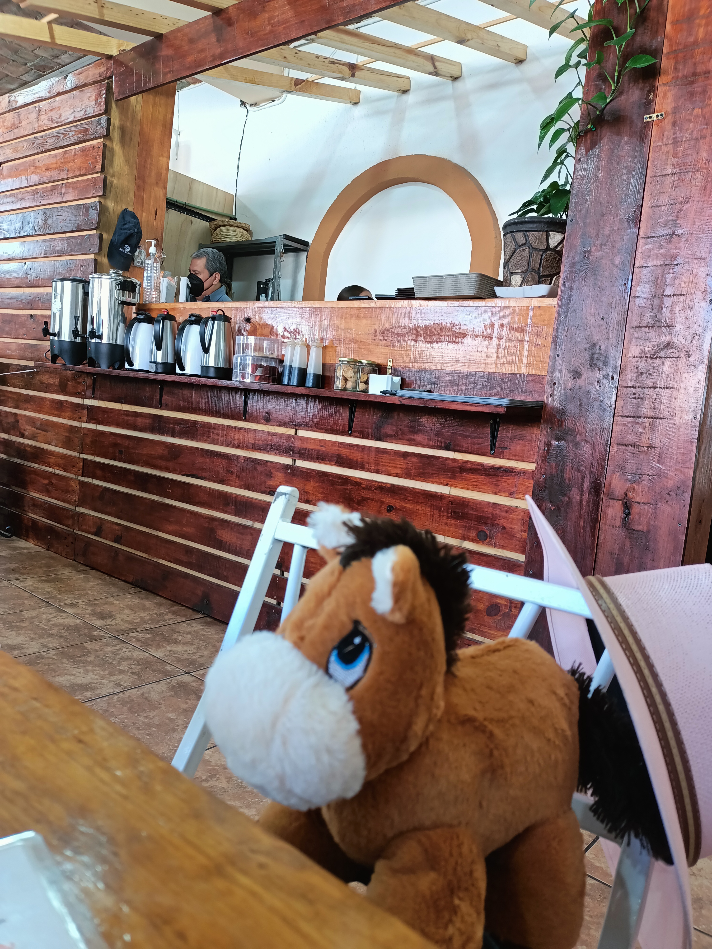 Las Canastas image 7