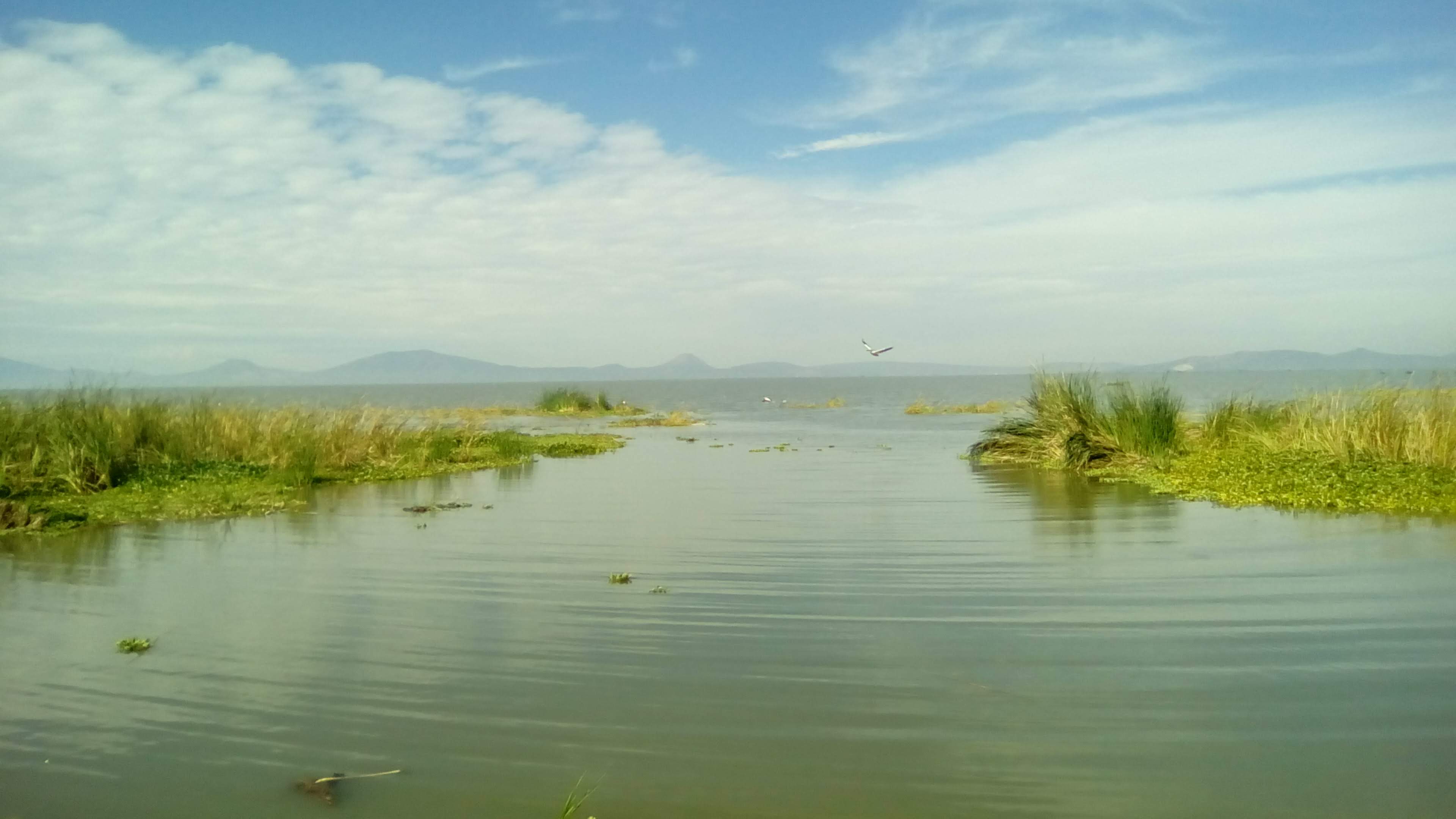 Restaurante El Faro image 8