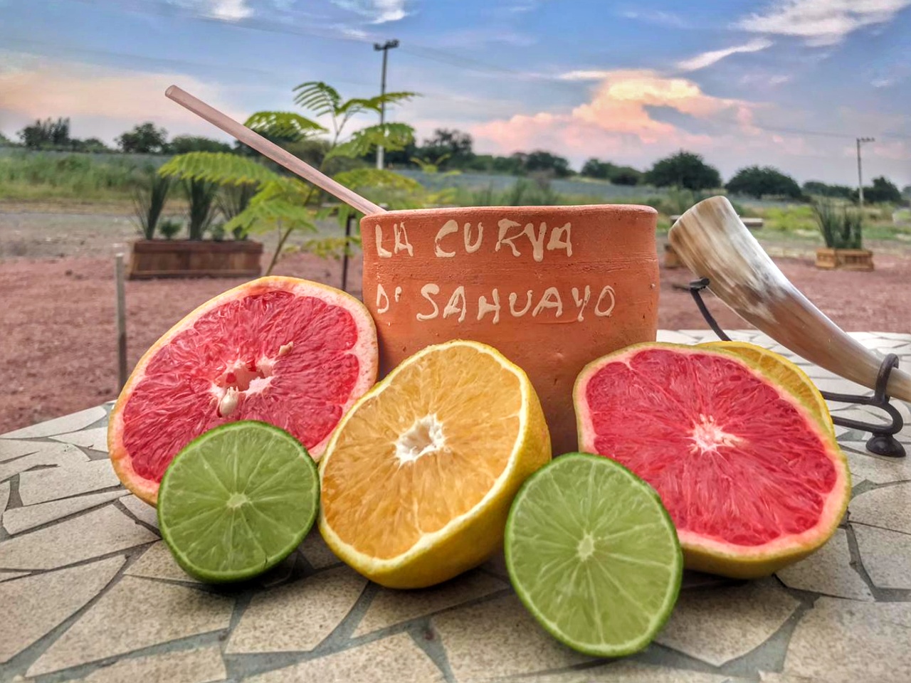 Restaurante-Campestre La Curva De Sahuayo image 8