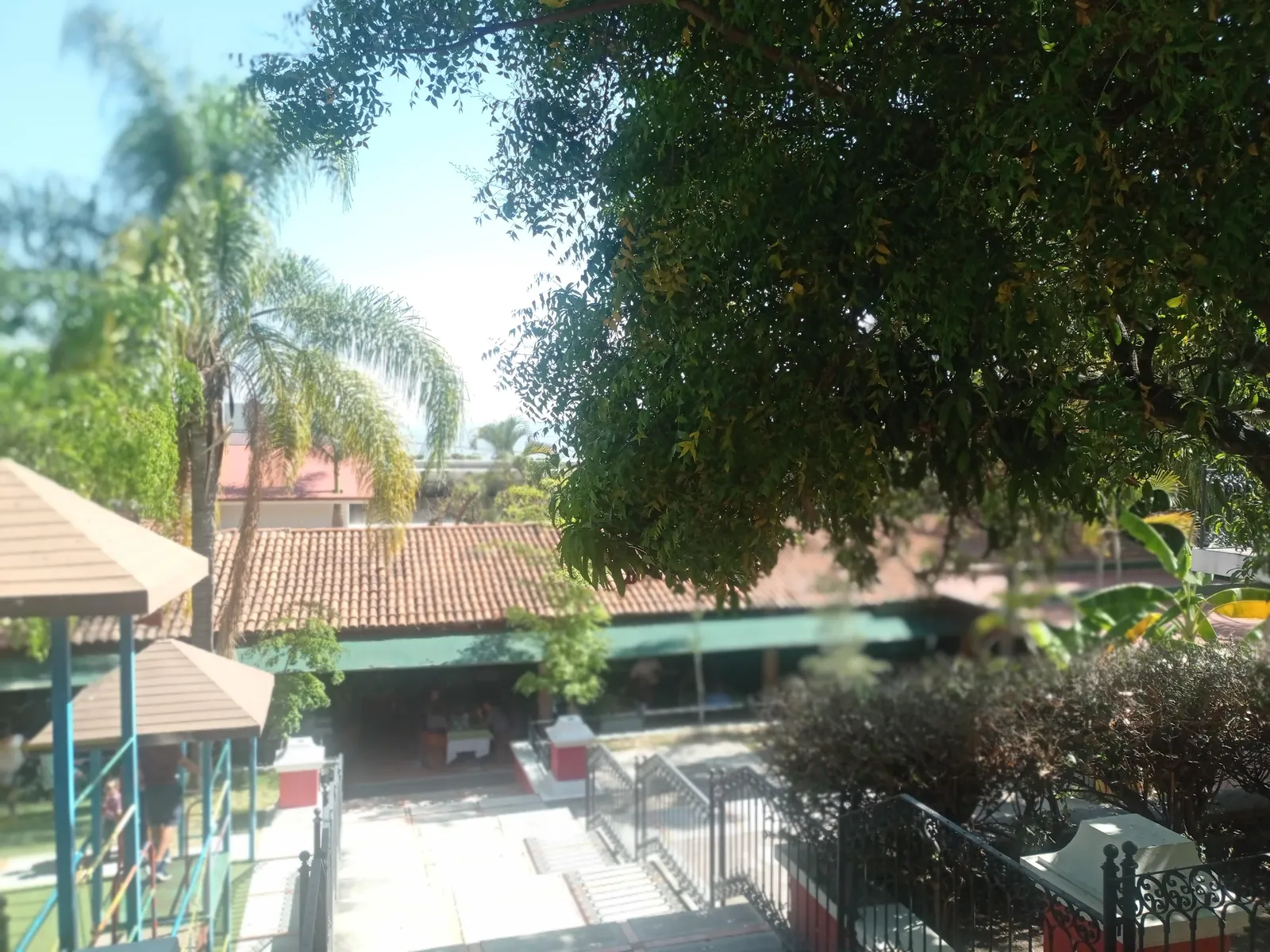 La Huerta image 7