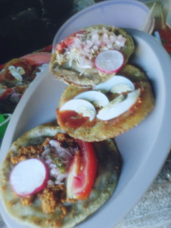 Salbutes y panuchos Ceci image 10