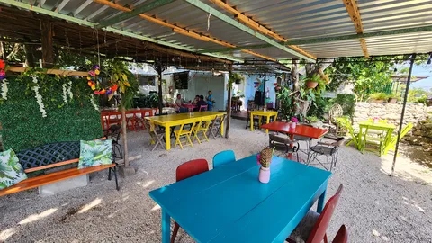 Colibrí image 1