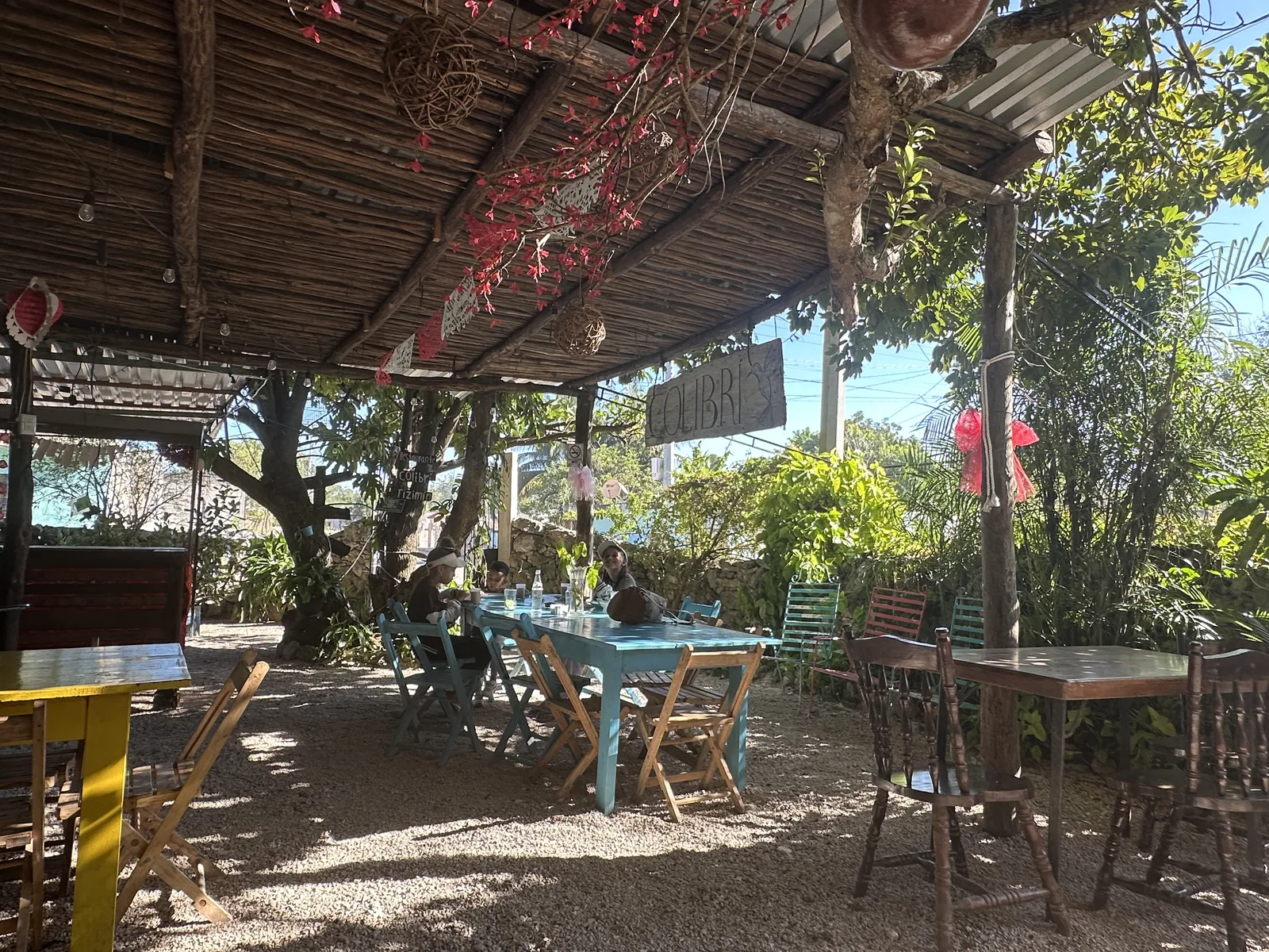 Colibrí image 5