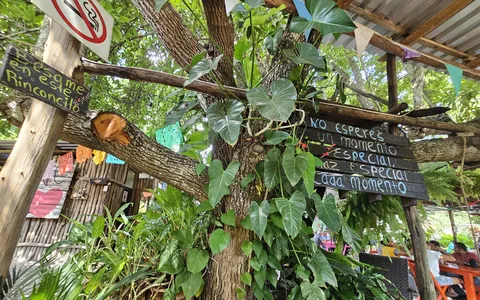 Colibrí image 8