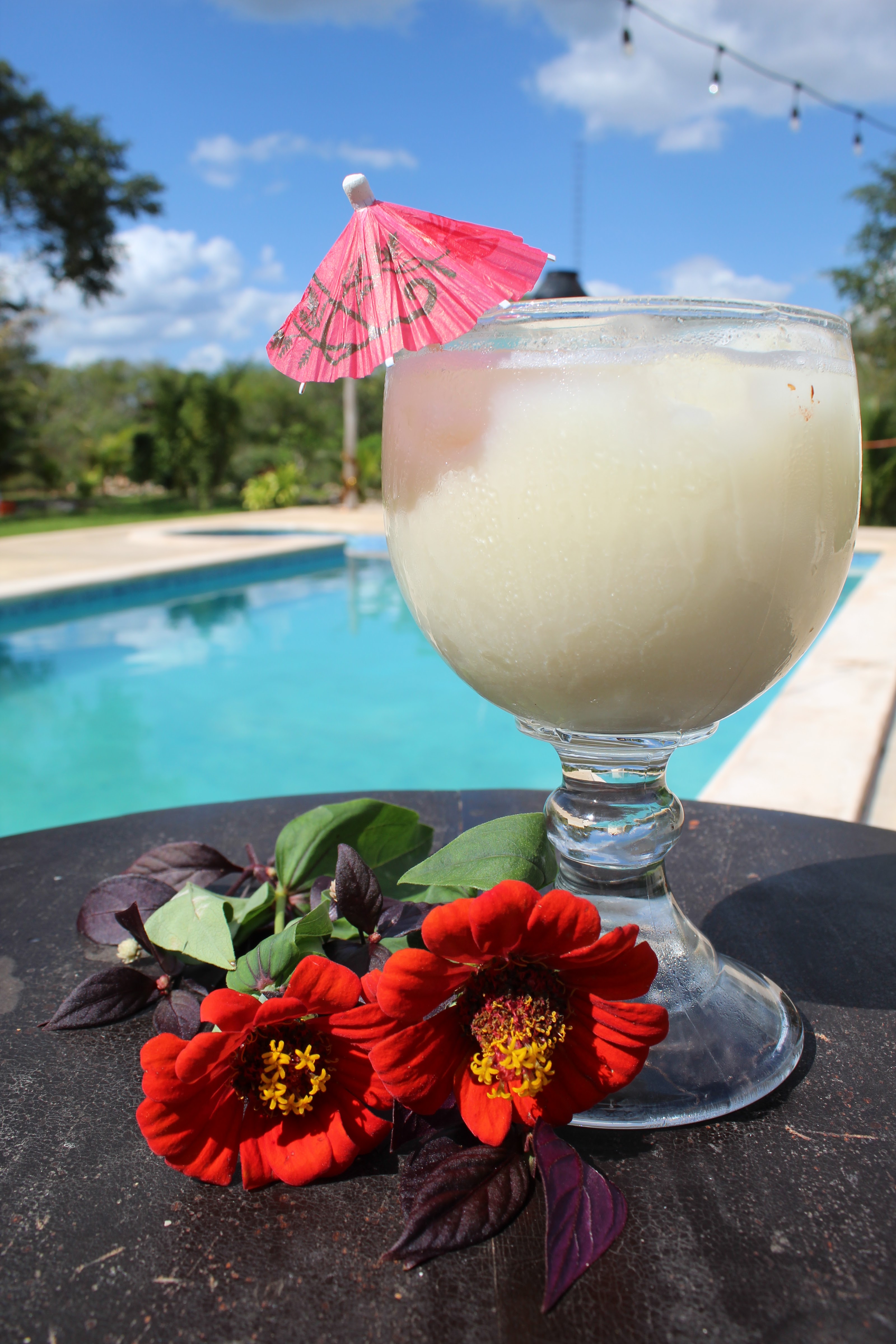 Tropi del Caribe: restaurante y piscina image 3