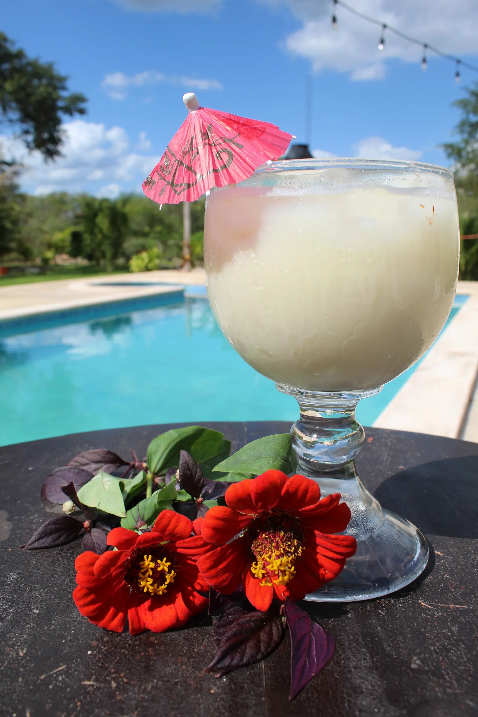 Tropi del Caribe: restaurante y piscina image 3