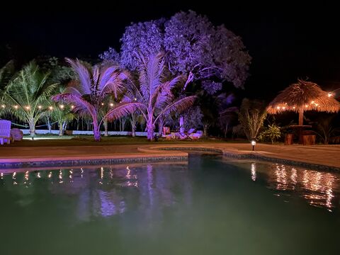 Tropi del Caribe: restaurante y piscina image 6