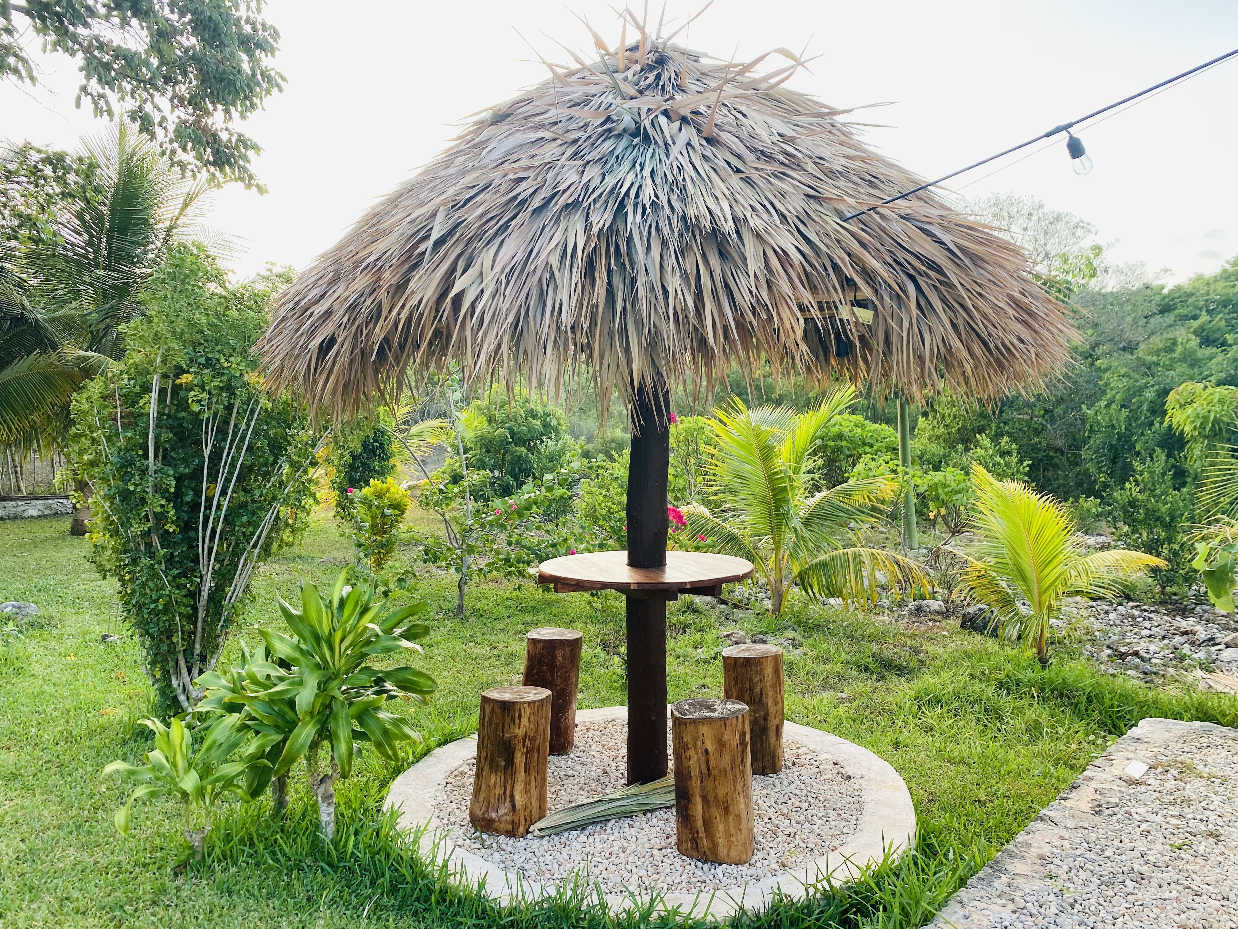 Tropi del Caribe: restaurante y piscina image 7
