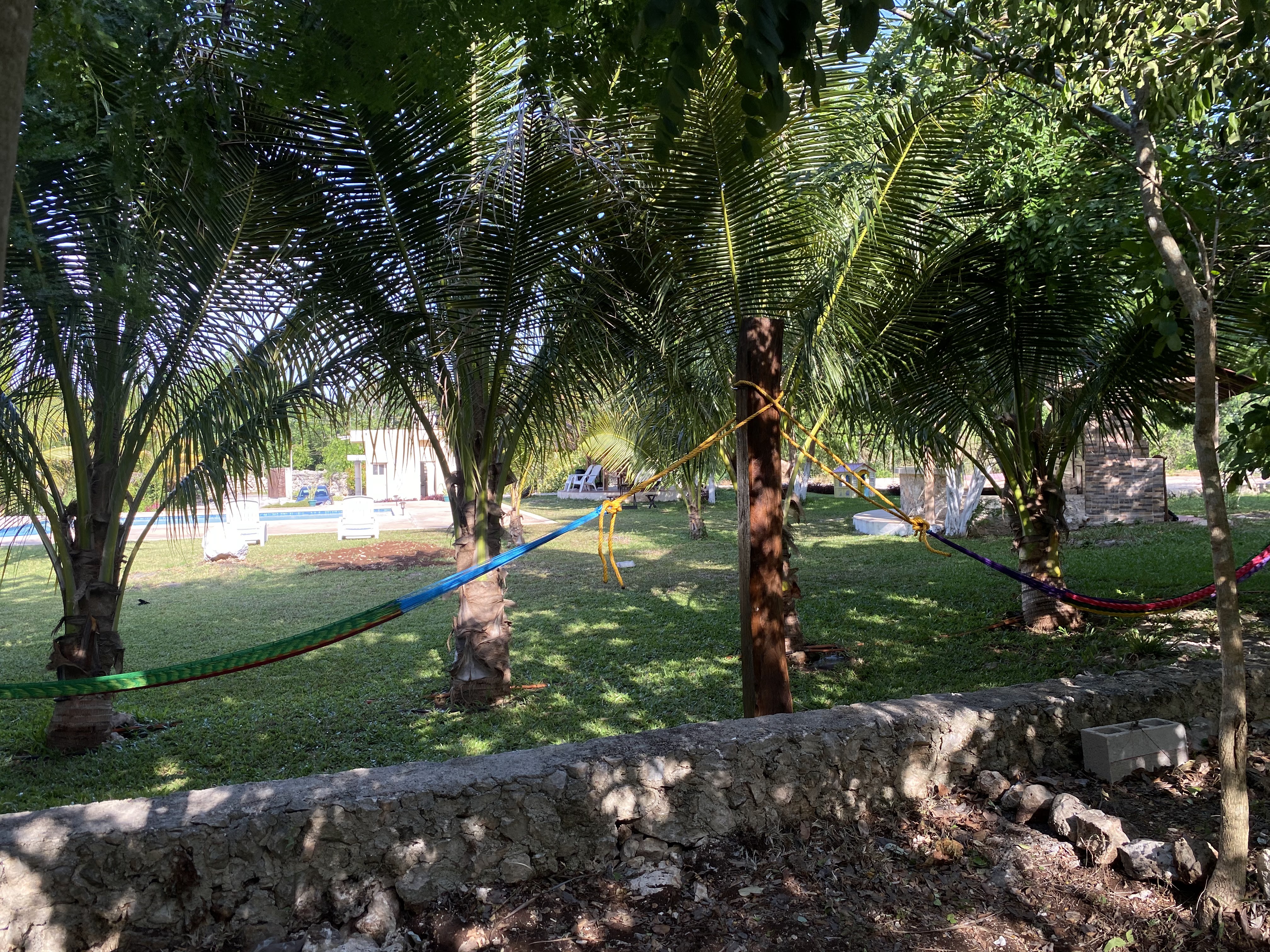 Tropi del Caribe: restaurante y piscina image 9